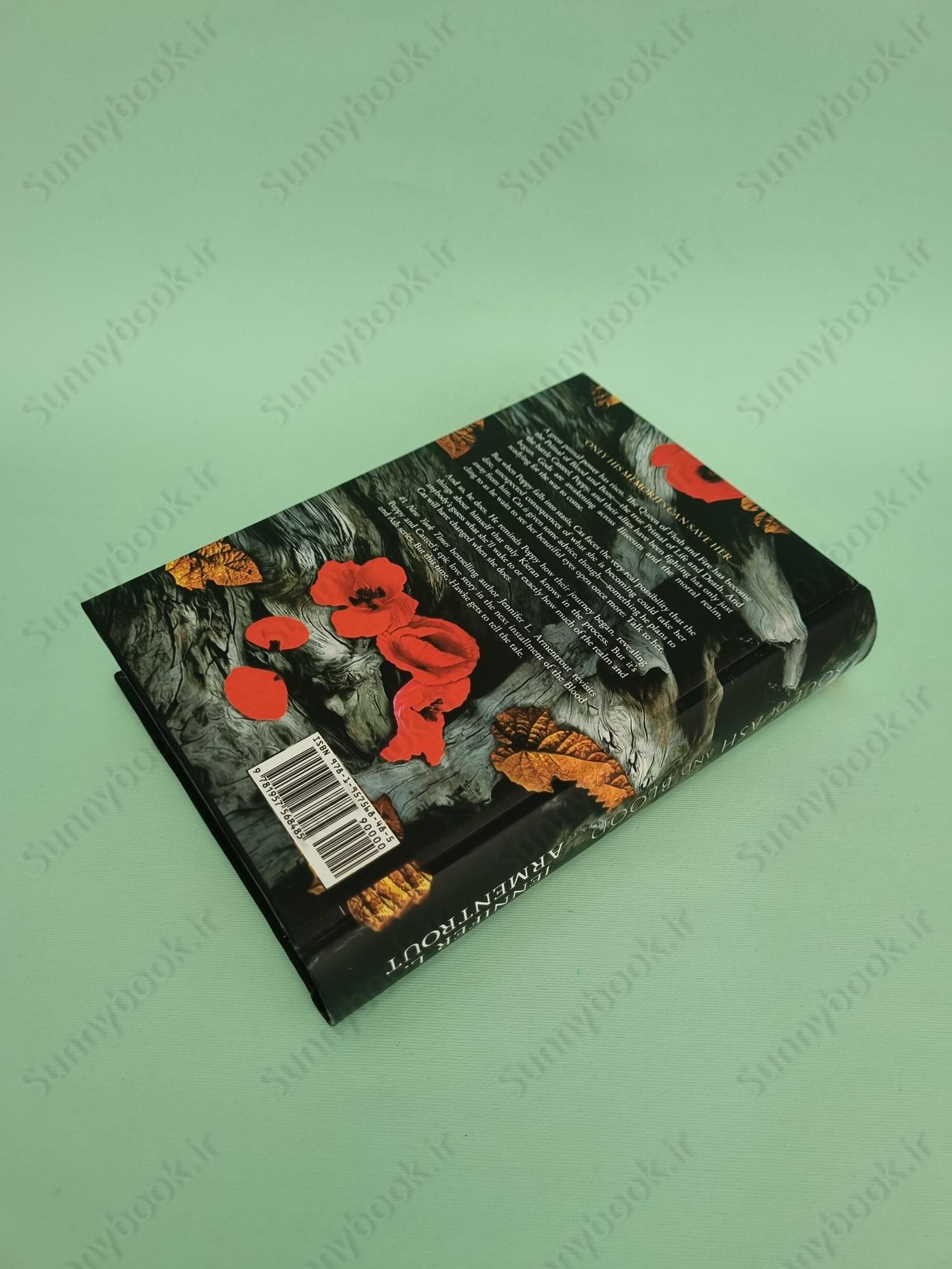 A Soul of Ash and Blood (Blood and Ash 5) main 1 4