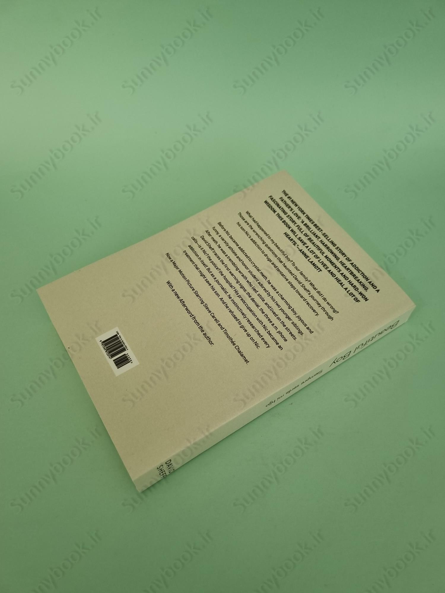 Beautiful Boy: A Father's Journey Through His Son's Addiction main 1 5