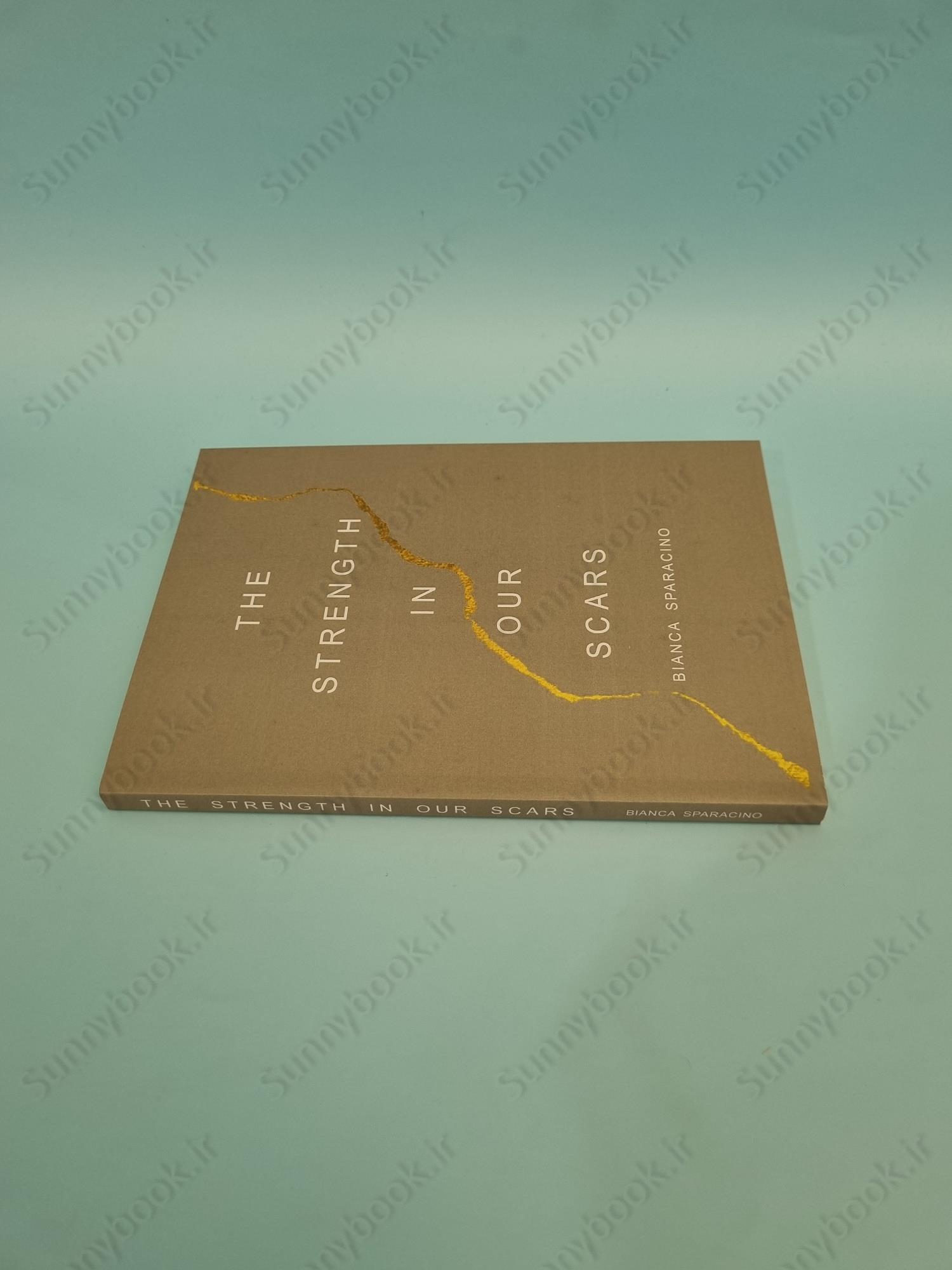 The Strength In Our Scars main 1 4