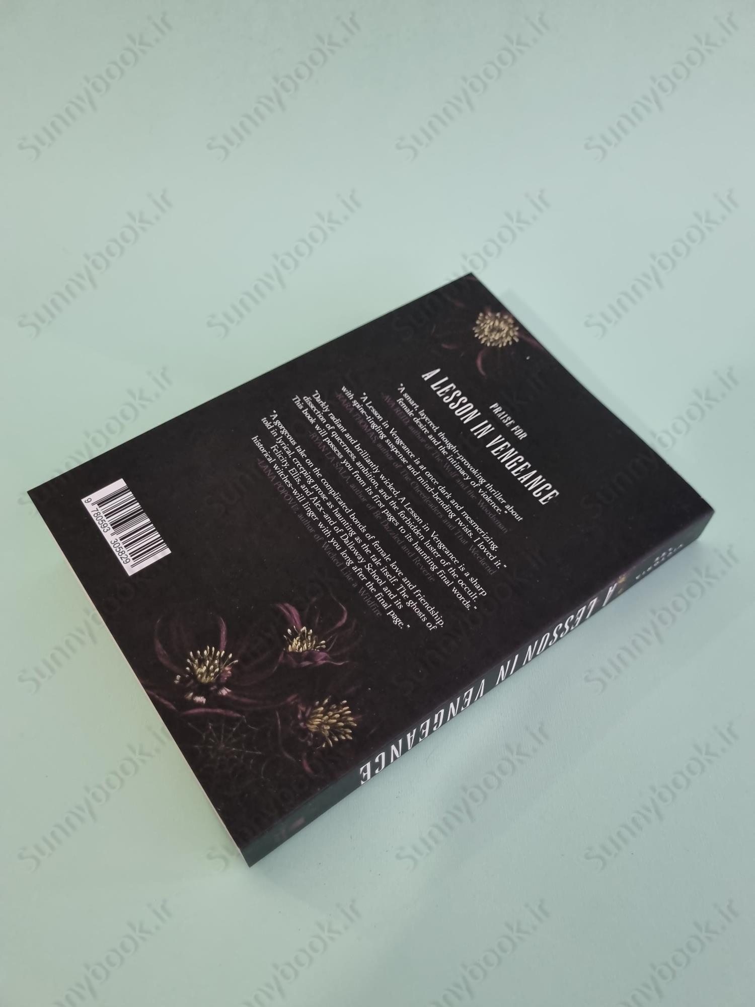 A Lesson in Vengeance main 1 5