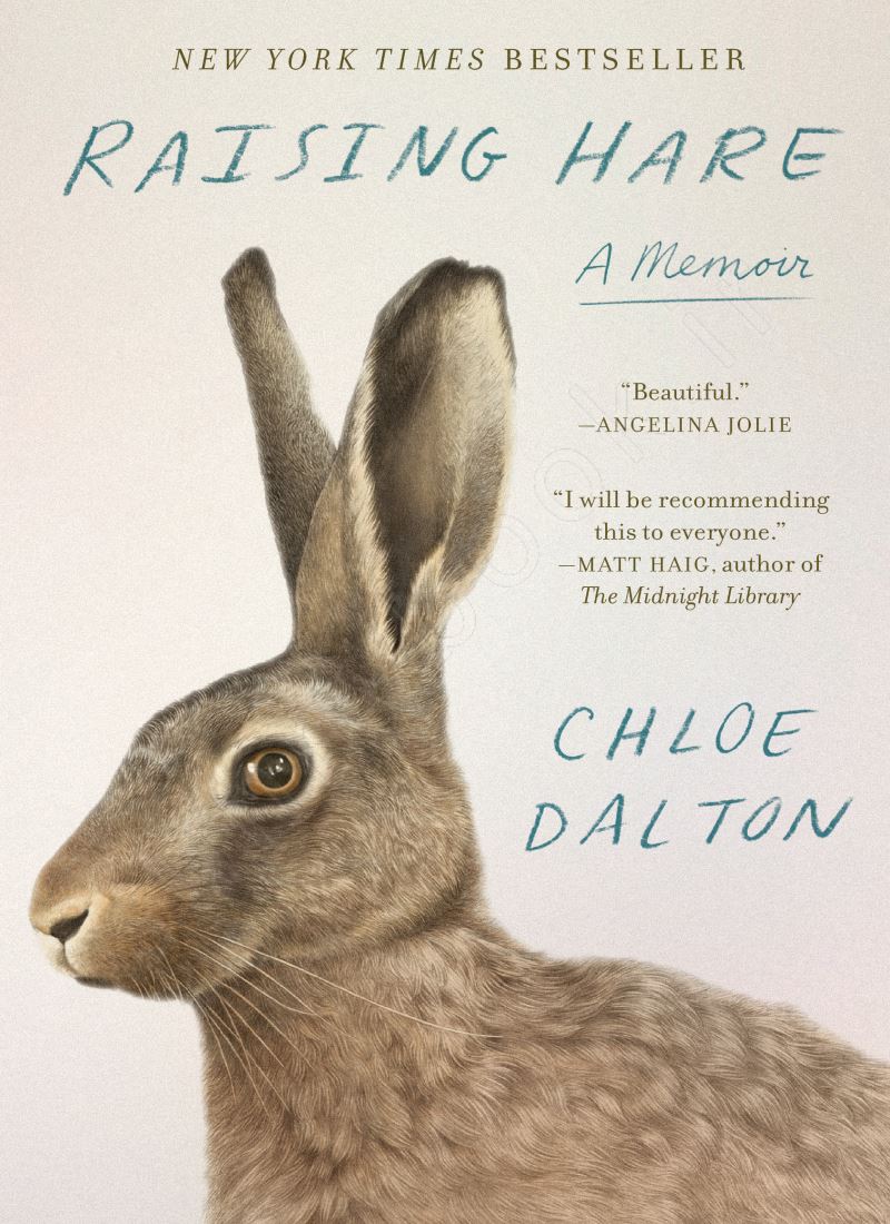 Raising Hare main 1 1
