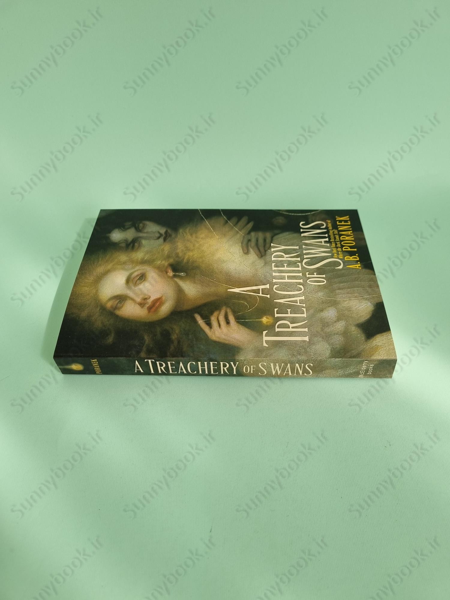 A Treachery of Swans main 1 4