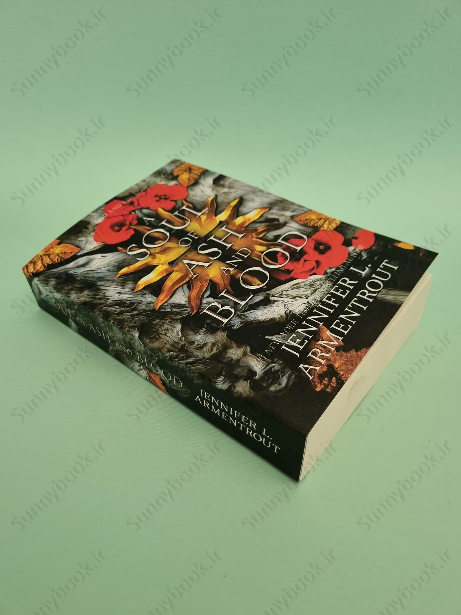 A Soul of Ash and Blood (Blood and Ash 5) main 1 3