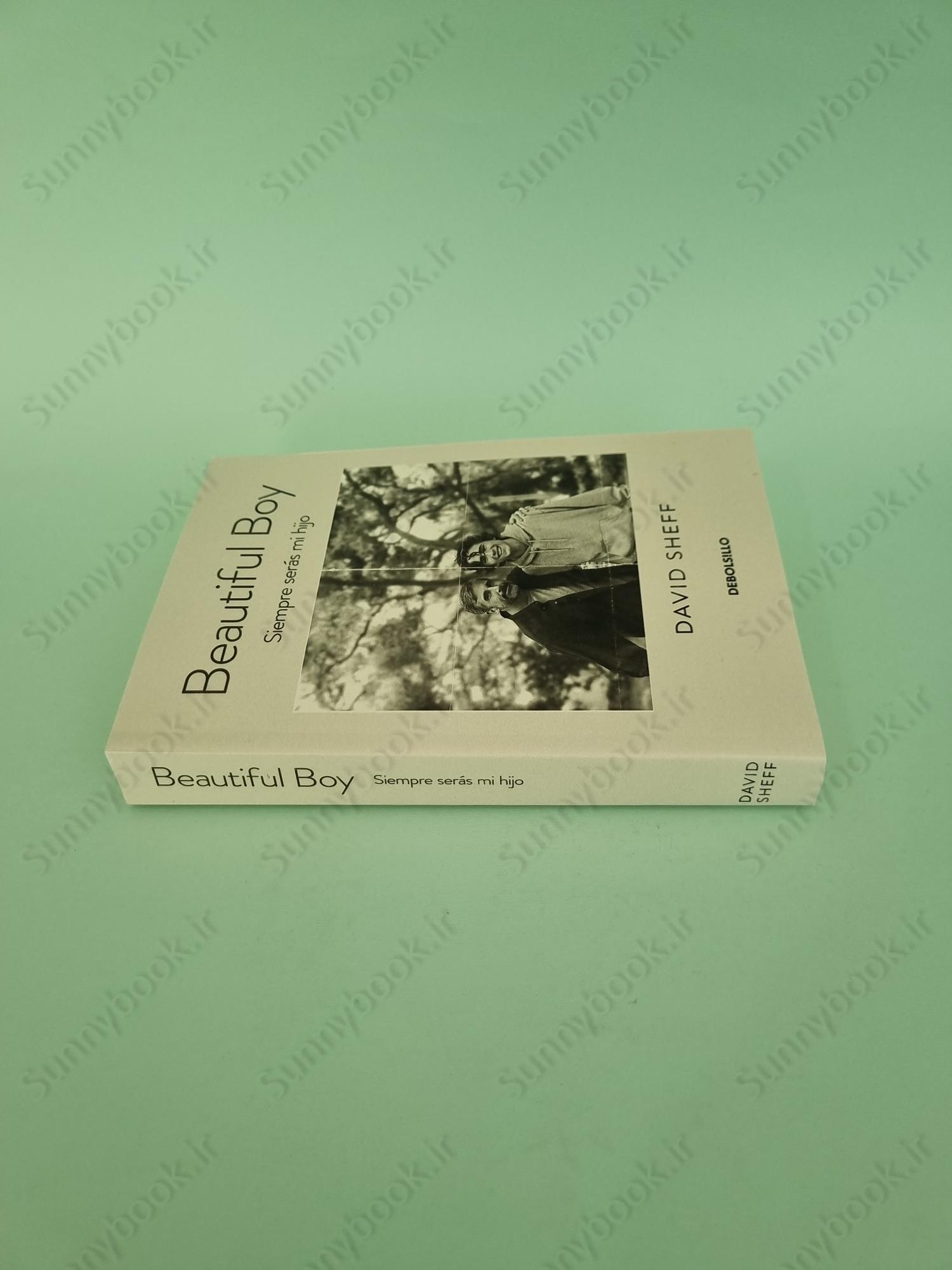 Beautiful Boy: A Father's Journey Through His Son's Addiction main 1 4