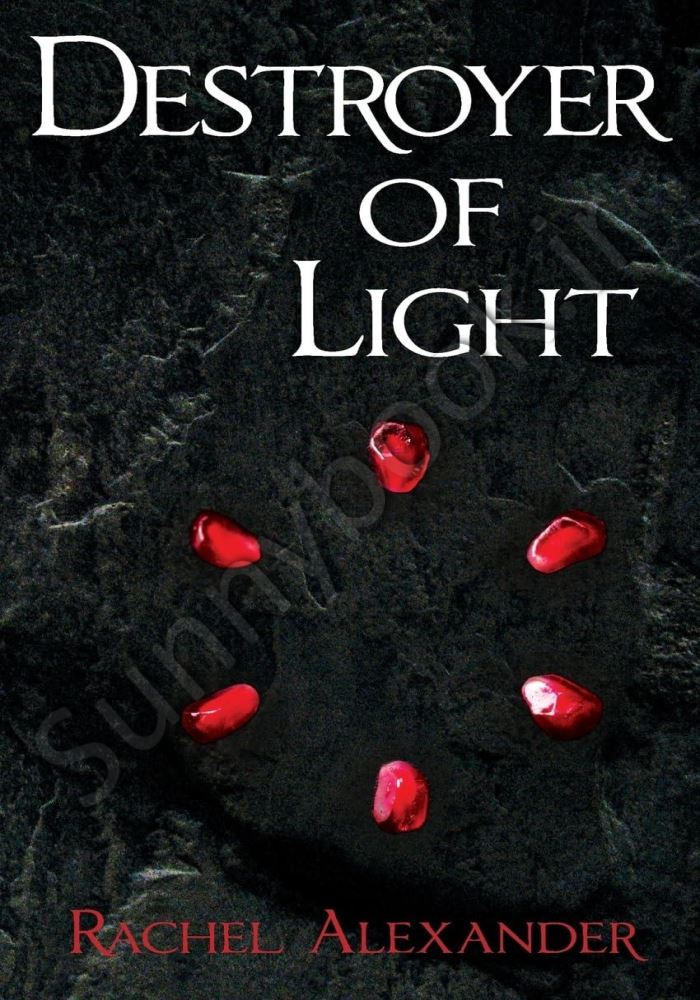 Destroyer of Light Book 2 Model.Title