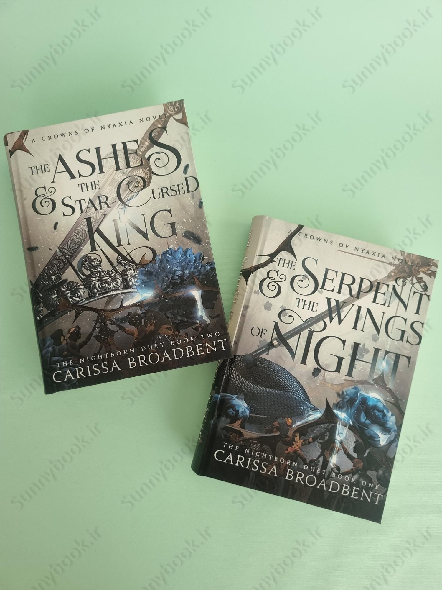 The Serpent and the Wings of Night (Crowns of Nyaxia Book 1) main 1 2