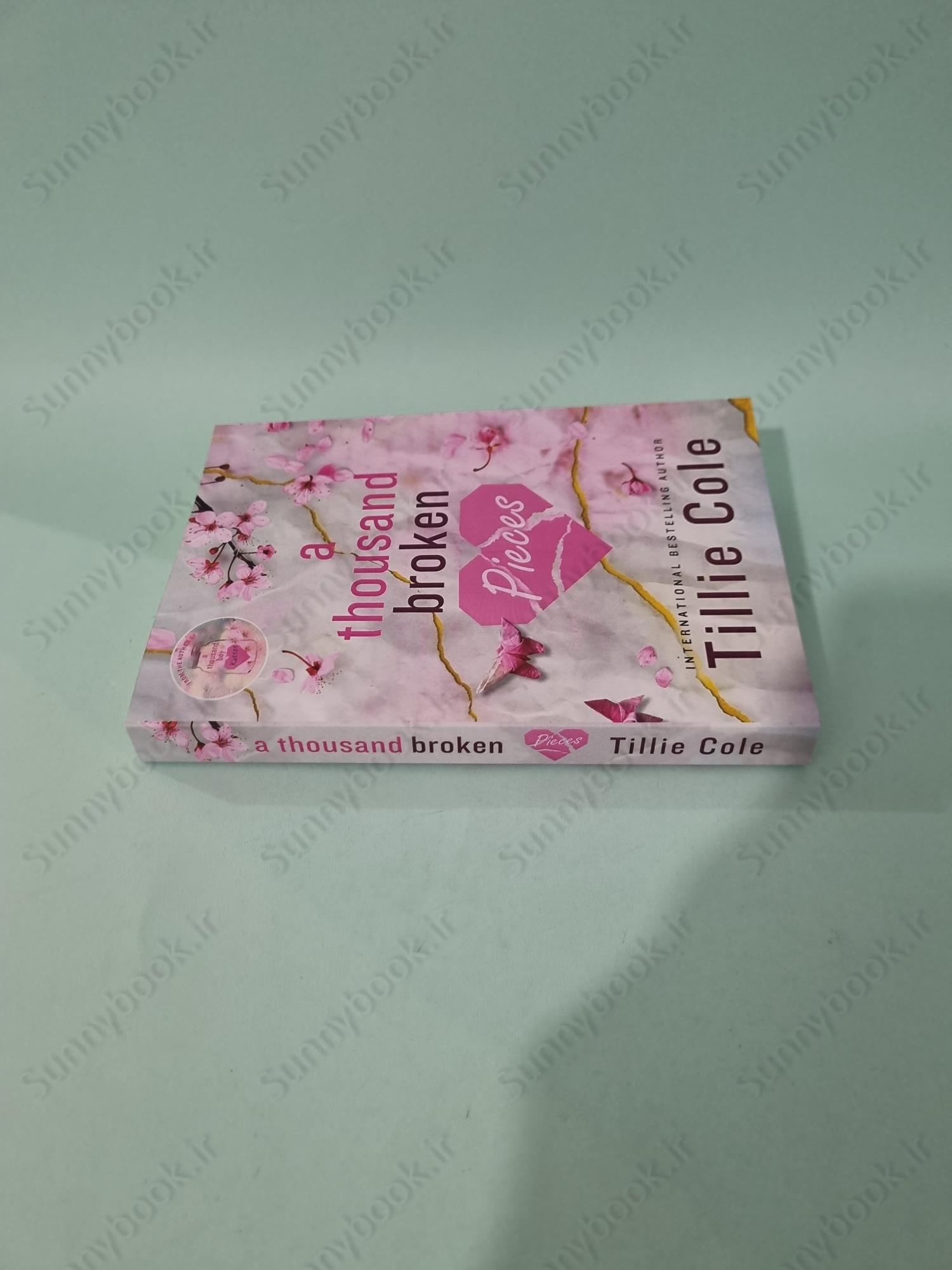 A Thousand Broken Pieces main 1 4