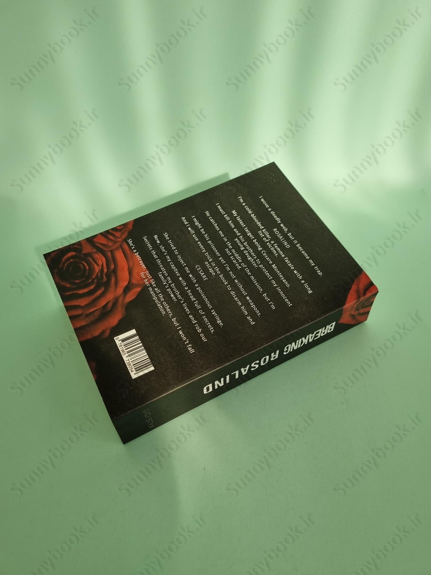 Breaking Rosalind (Morally Black Book 3) main 1 5