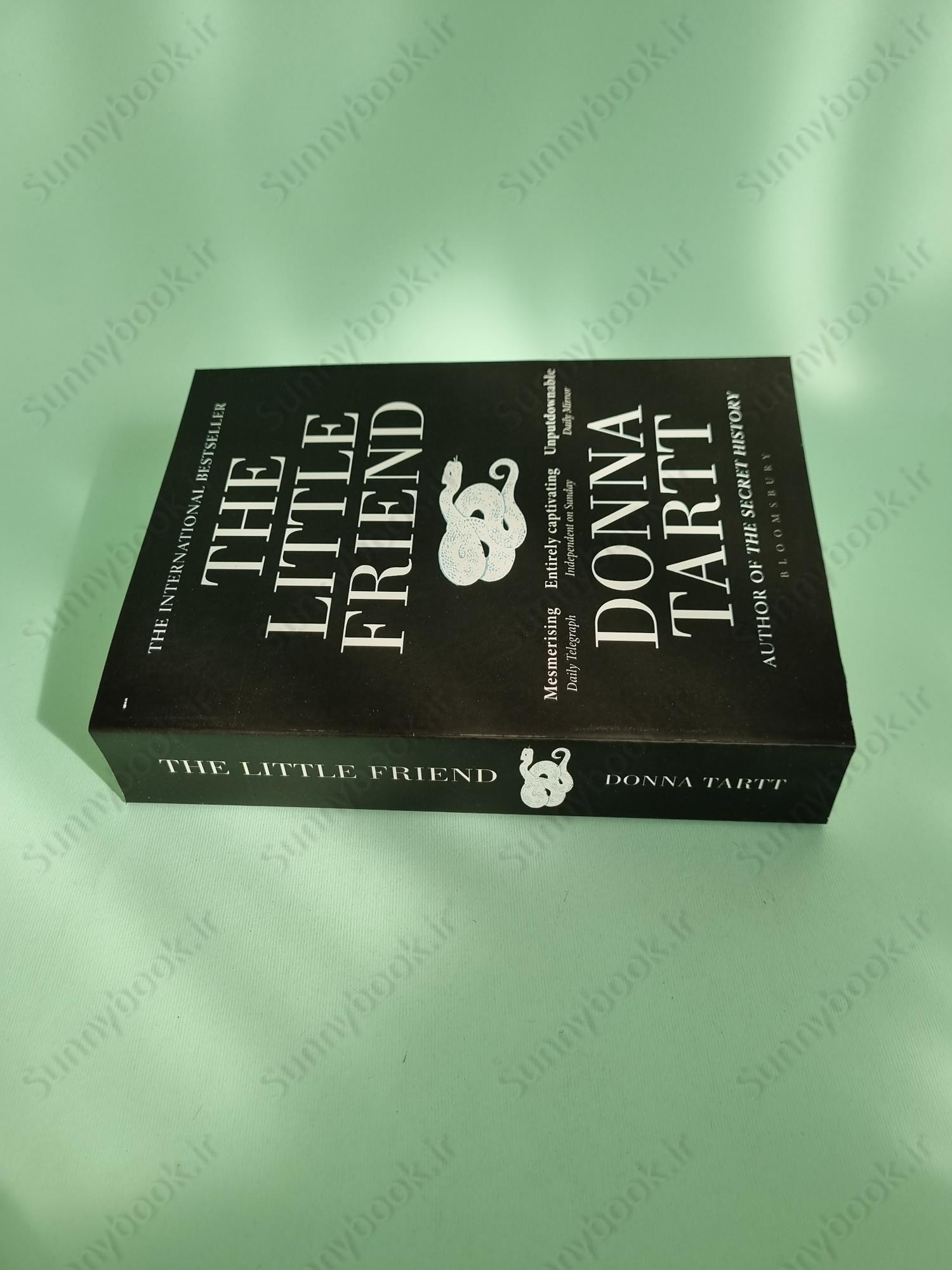 The Little Friend: Donna Tartt main 1 4