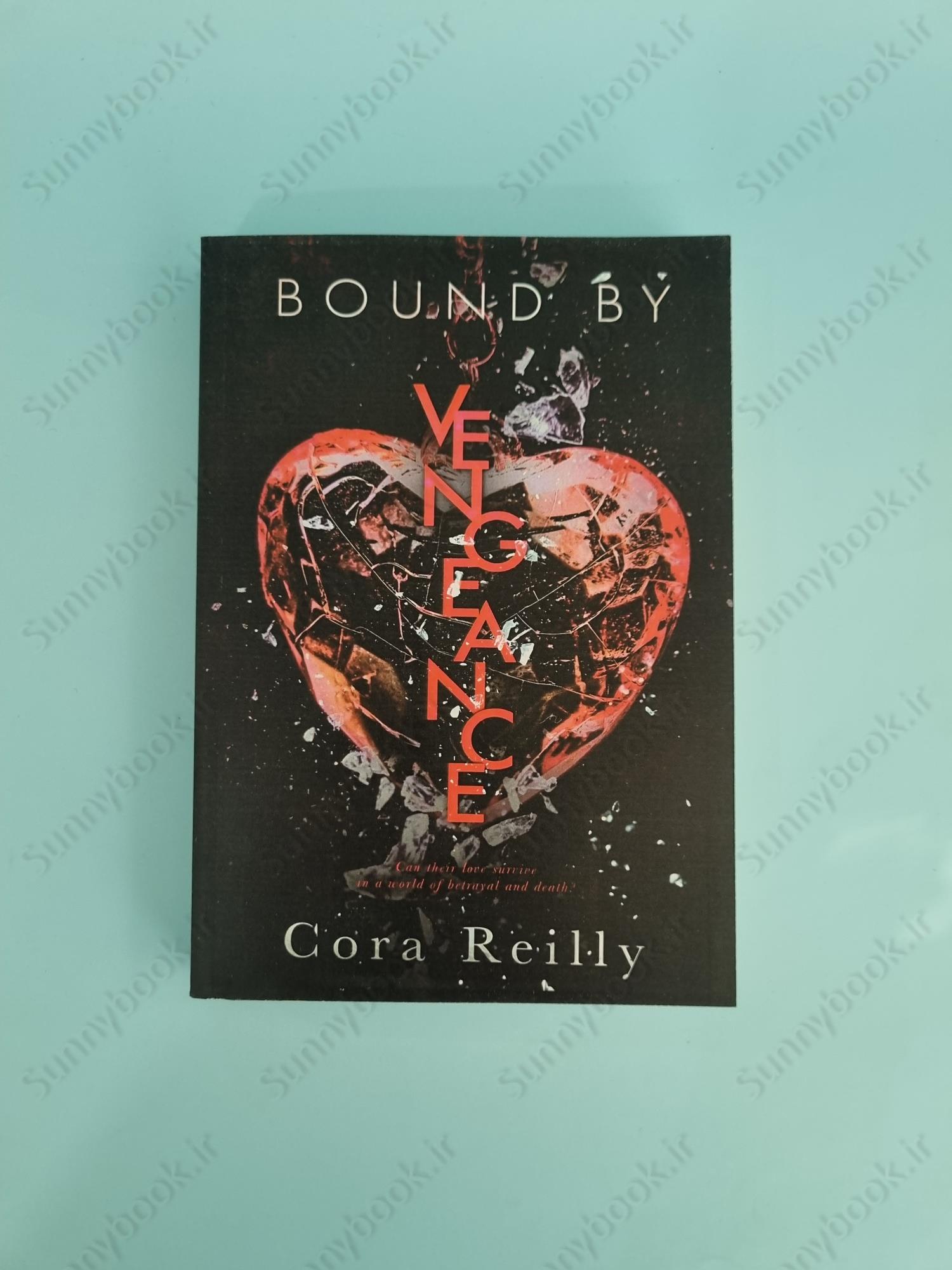 Bound by Vengeance (Born in Blood Mafia 5) main 1 2