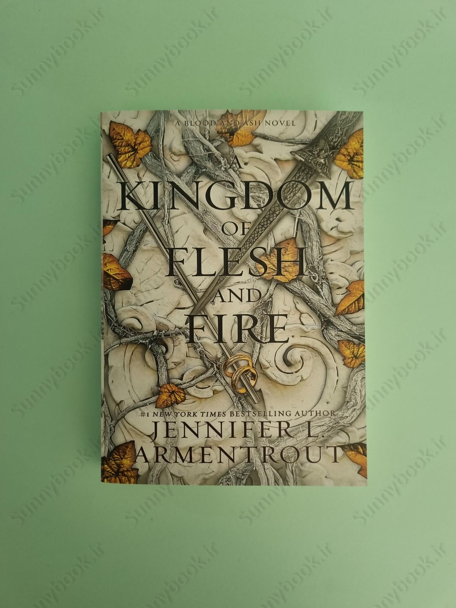 A Kingdom of Flesh and Fire (Blood and Ash 2) main 1 2