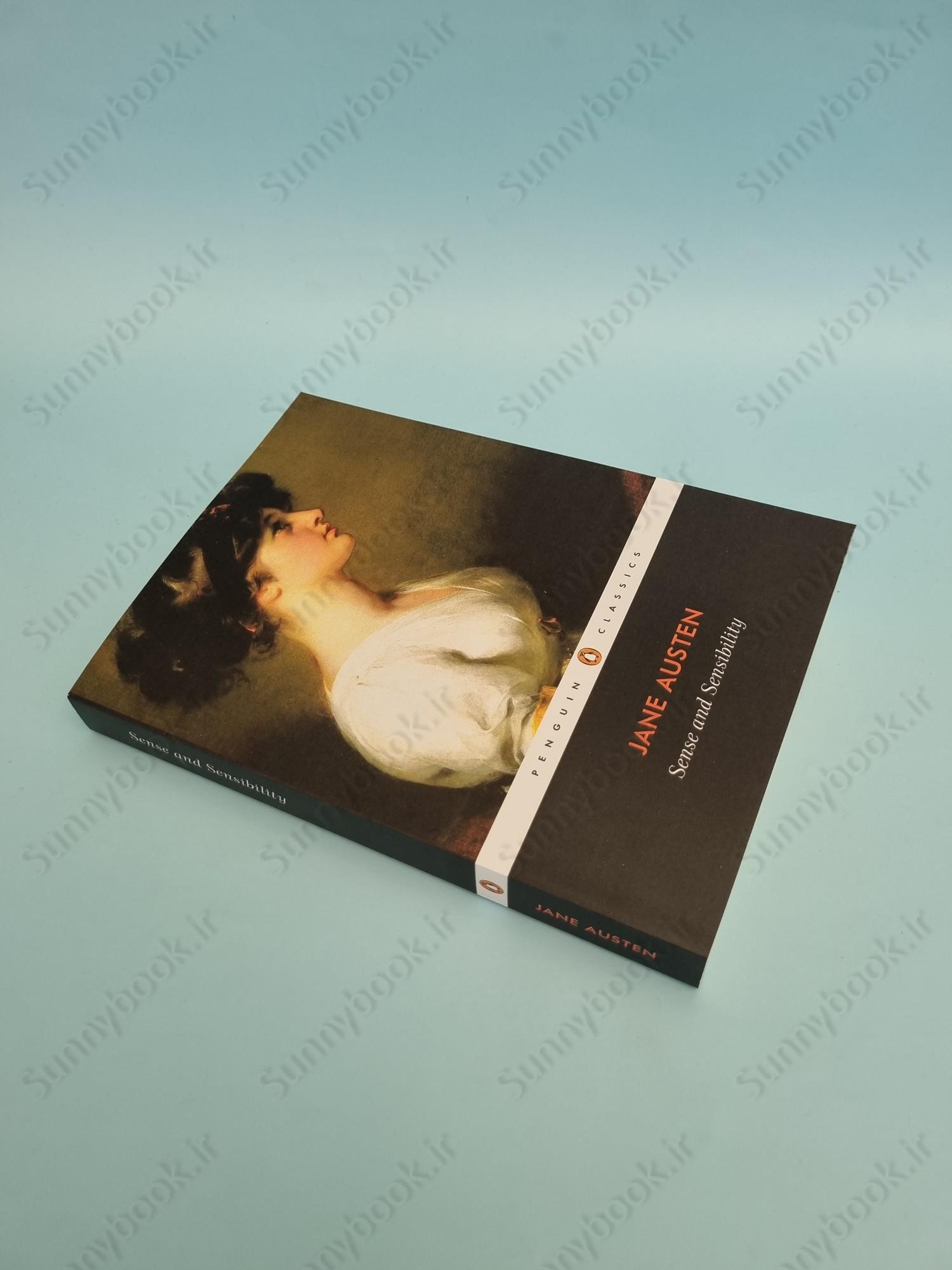 Sense and Sensibility main 1 3