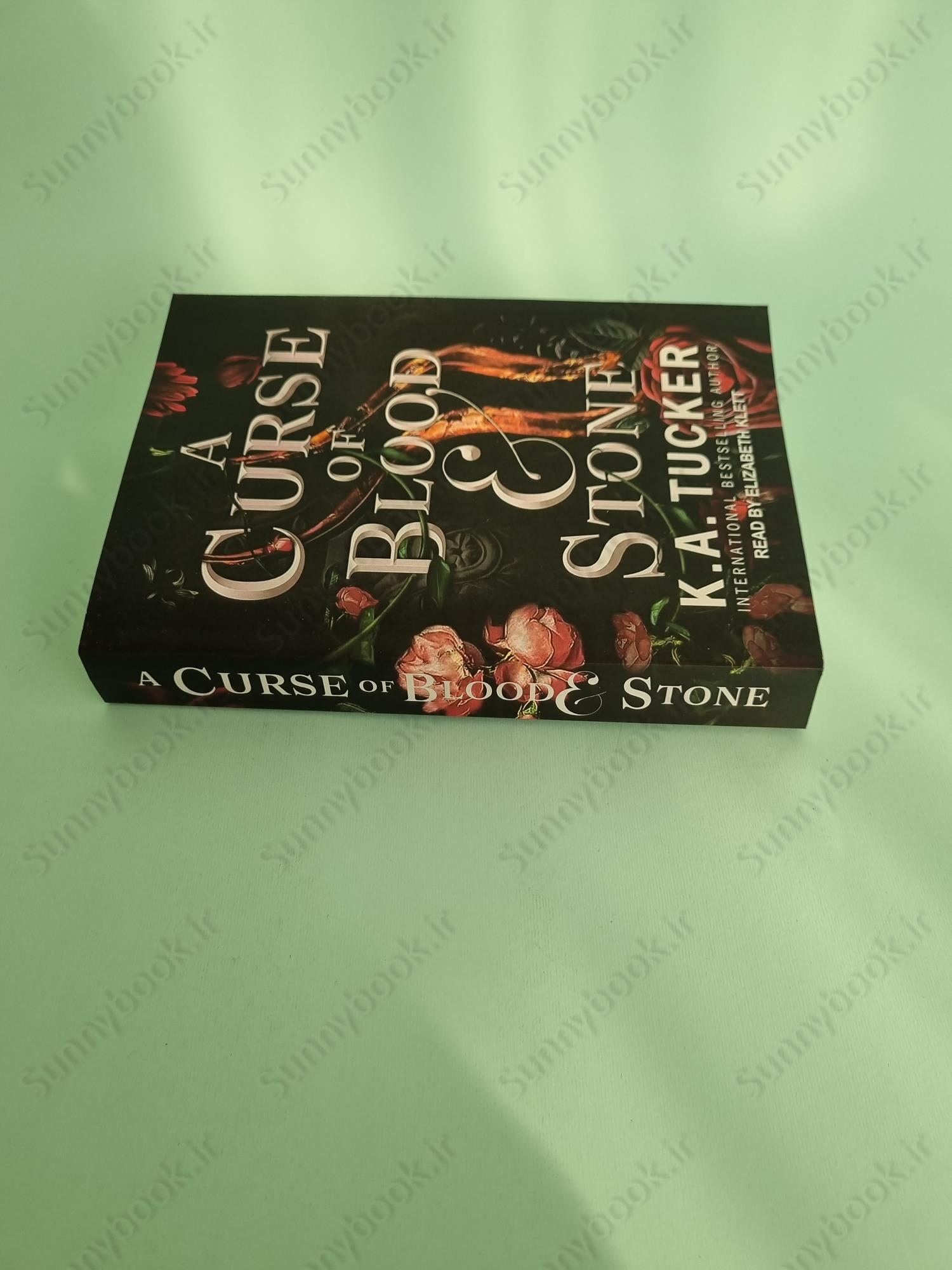 A Curse of Blood & Stone (Fate & Flame 2) main 1 4