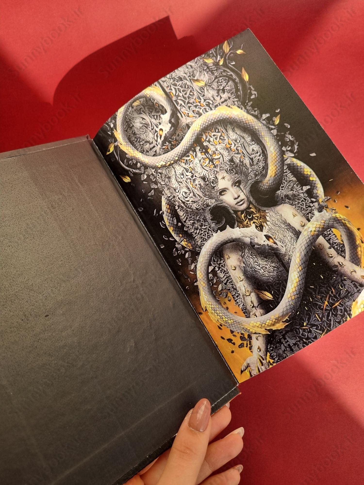 House of Flame and Shadow (Crescent City #3) main 1 6