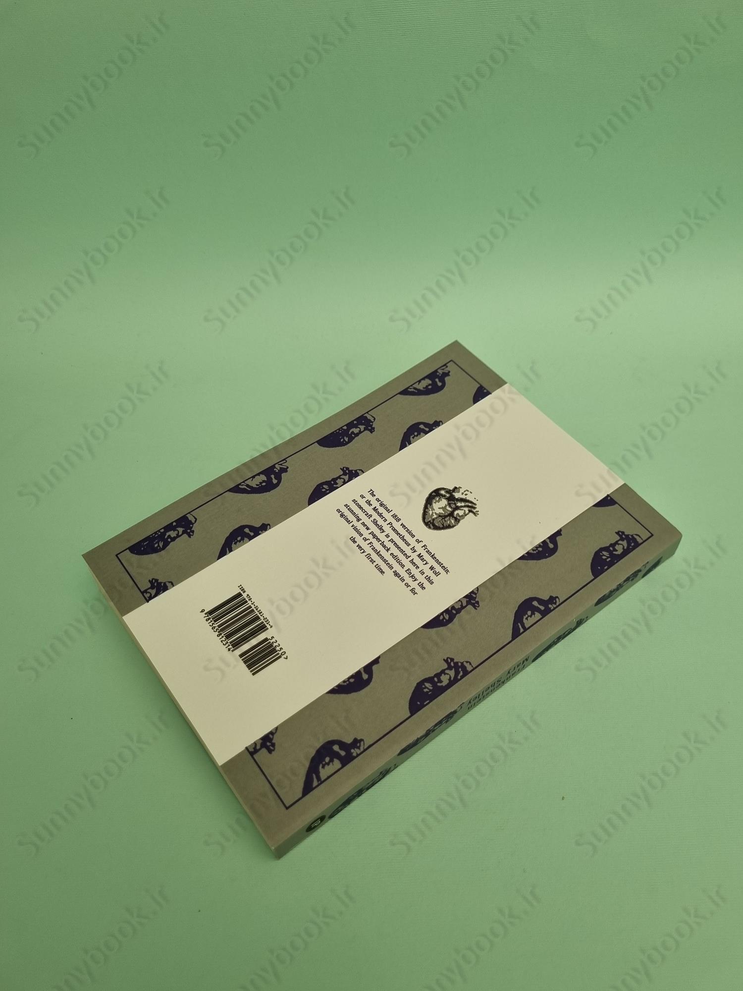 Frankenstein main 1 6