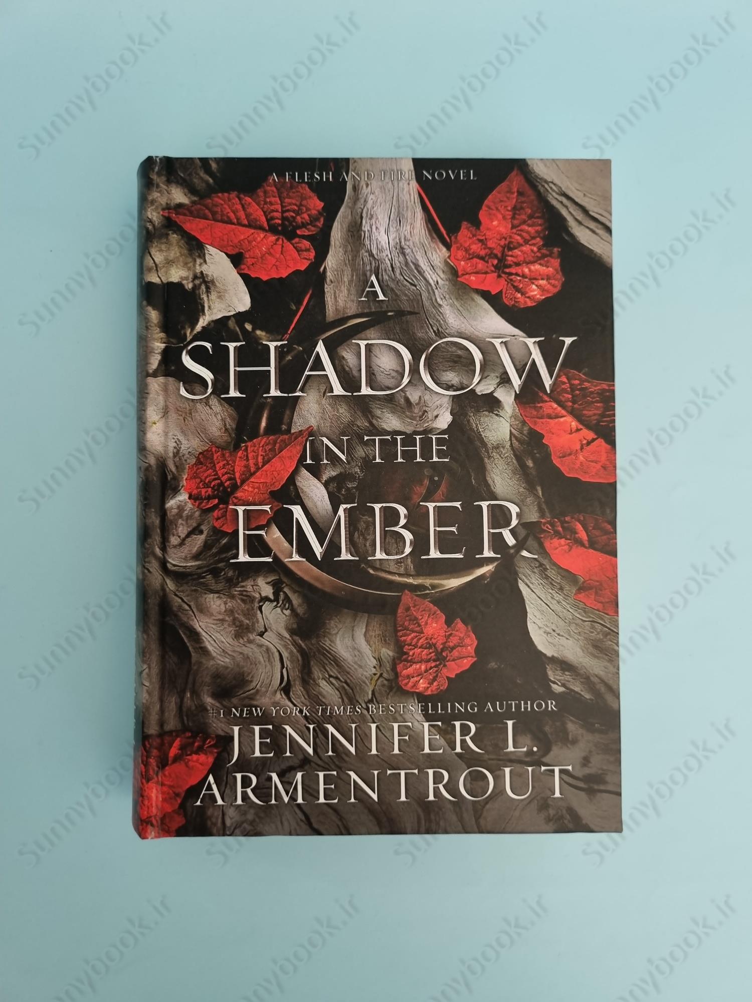 A Shadow in the Ember (Flesh and Fire 1) main 1 2