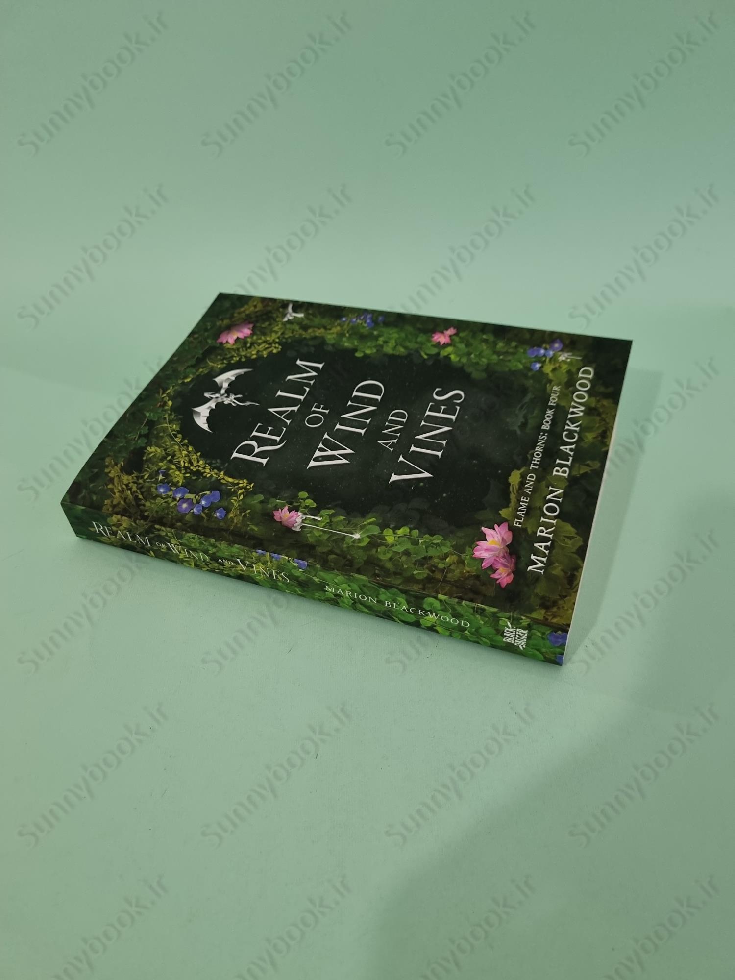 Realm of Wind and Vines (Flame and Thorns Book 4) main 1 2