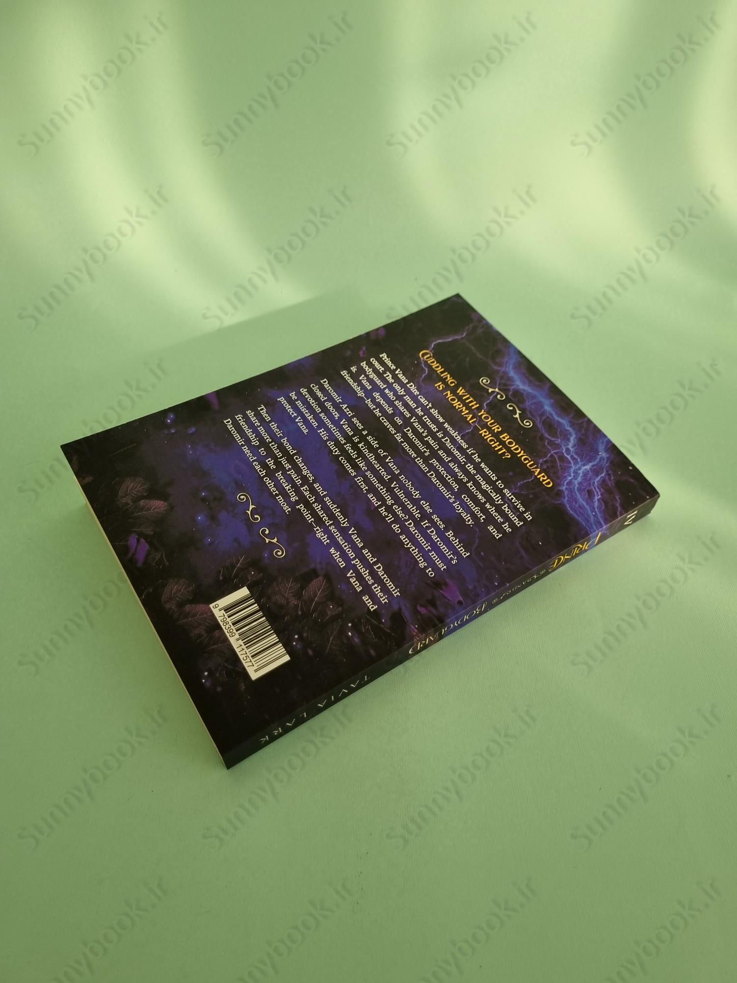 Prince and Bodyguard  (Perilous Courts 4) main 1 4