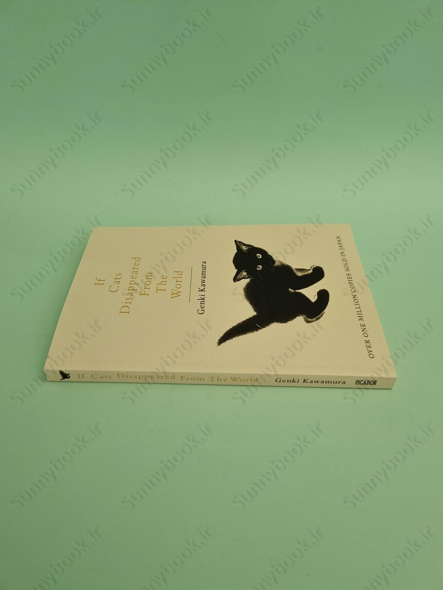 If Cats Disappeared from the World main 1 5