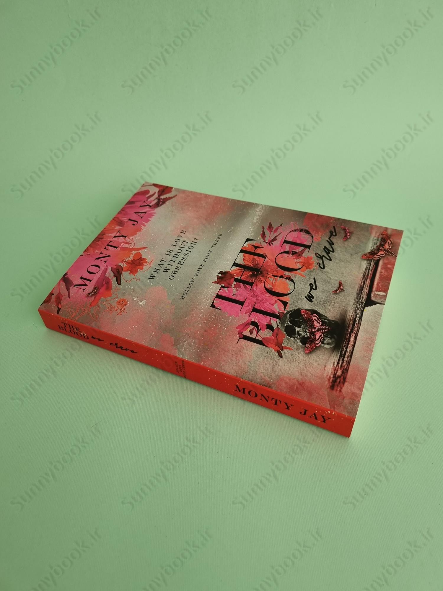 The Blood we Crave (The Hollow Boys Book 3) main 1 3