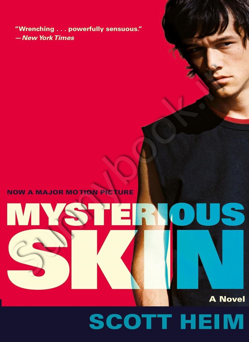 Mysterious Skin Model.Title