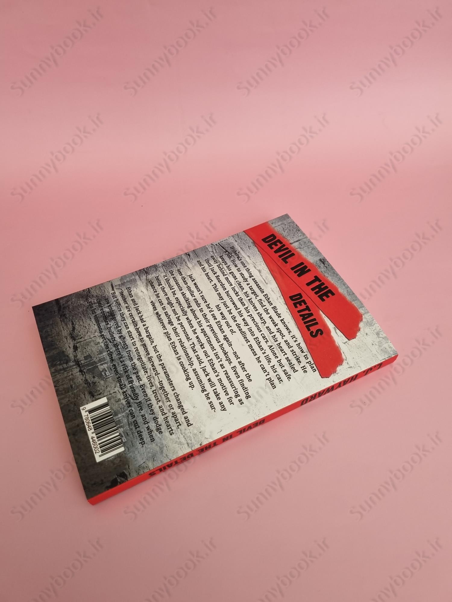 Devil in the Details (Death and the Devil Book 1.8) main 1 4