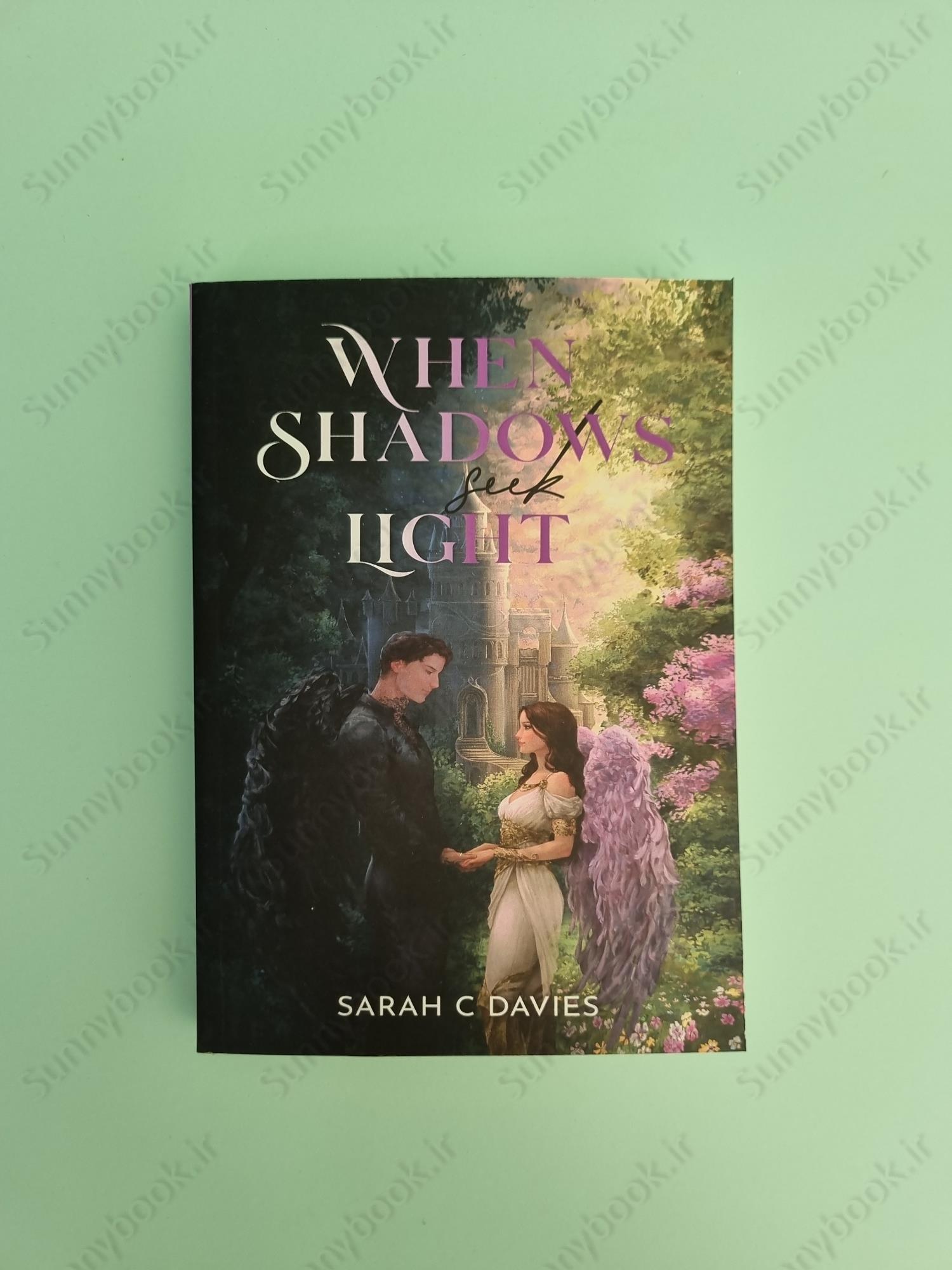 When Shadows Seek Light main 1 2