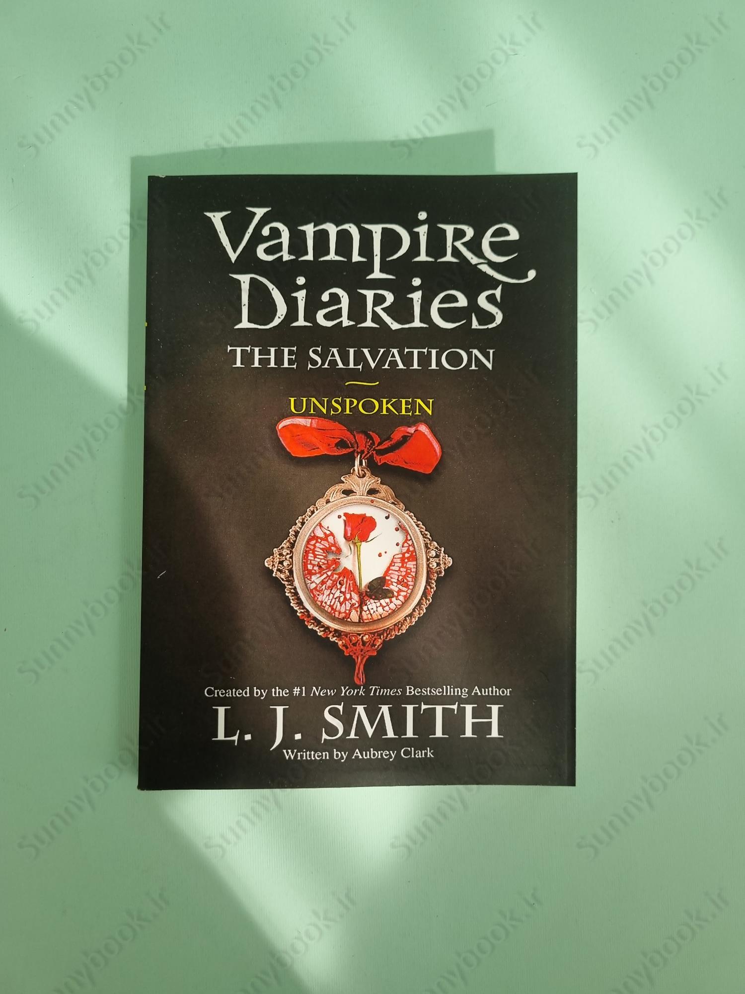 The Vampire Diaries: The Salvation: Unspoken: Book 12 main 1 2