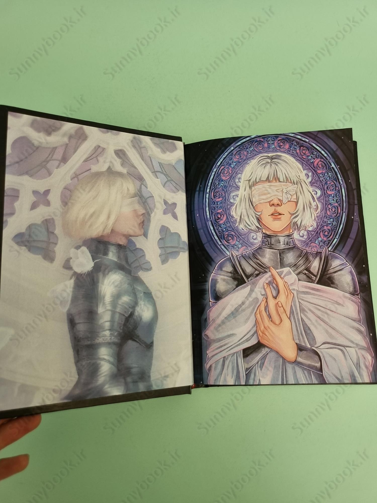 The Knight and the Moth (The Stonewater Kingdom 1) main 1 6