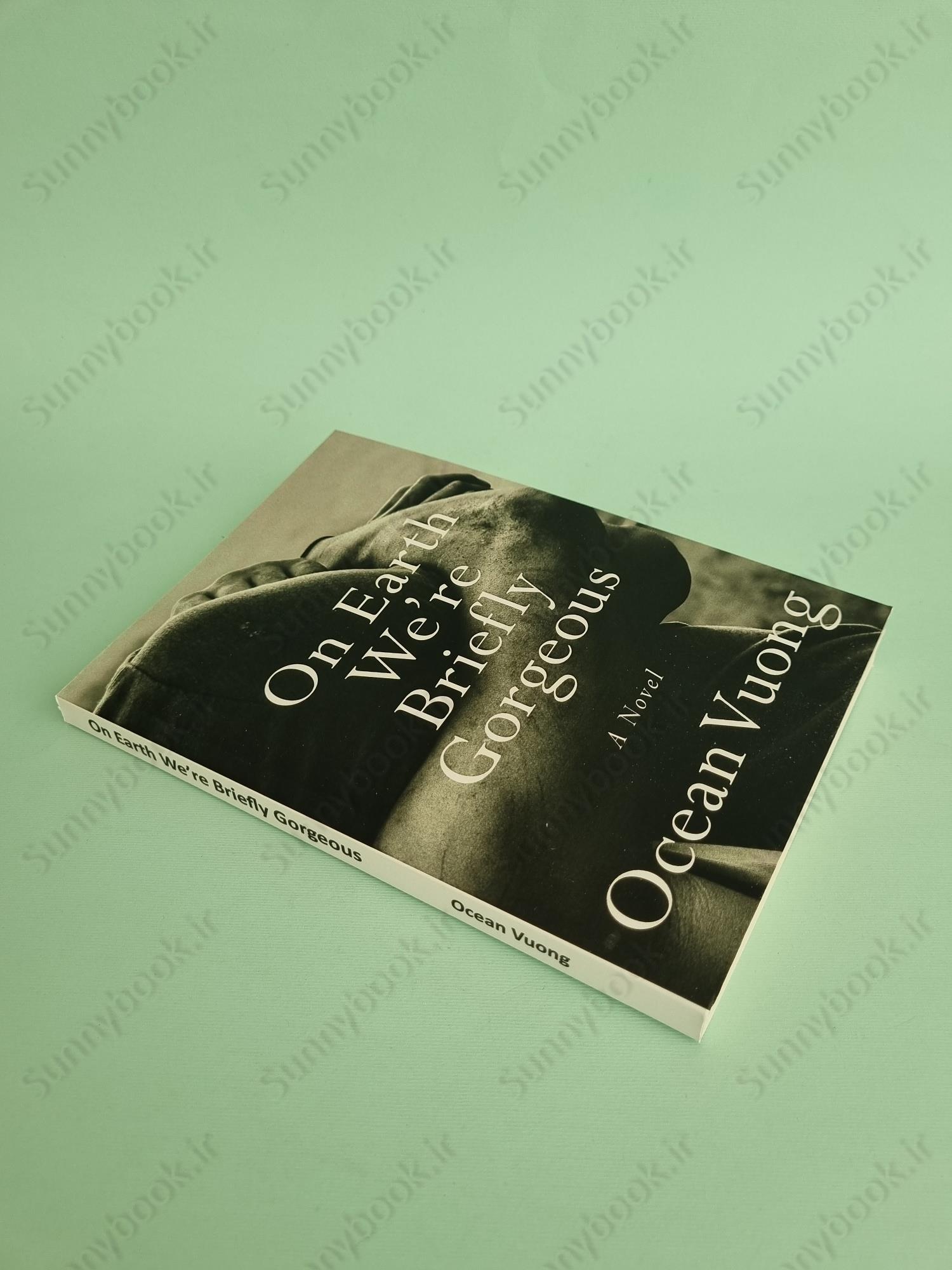 On Earth We're Briefly Gorgeous main 1 3