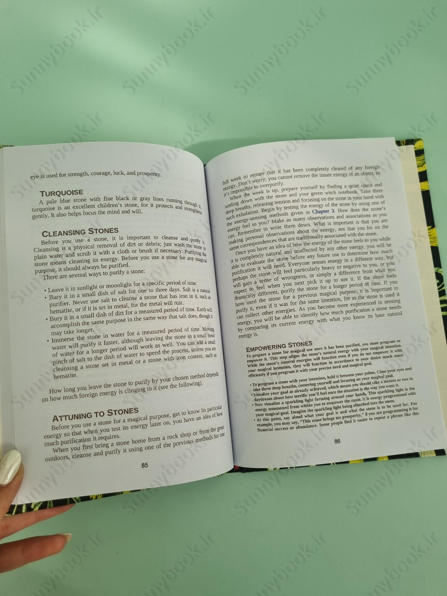 The Green Witch main 1 5