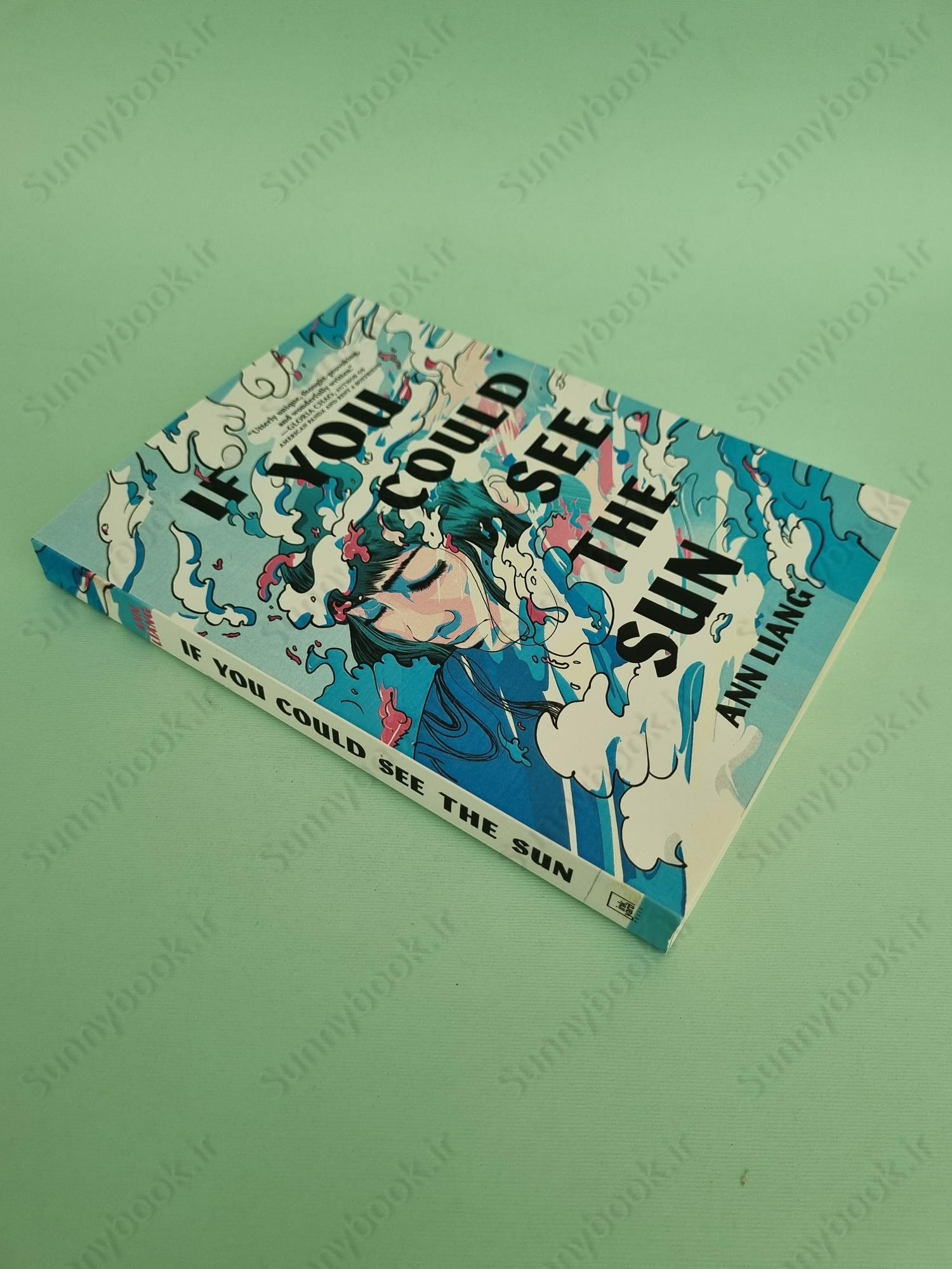 If You Could See the Sun main 1 3