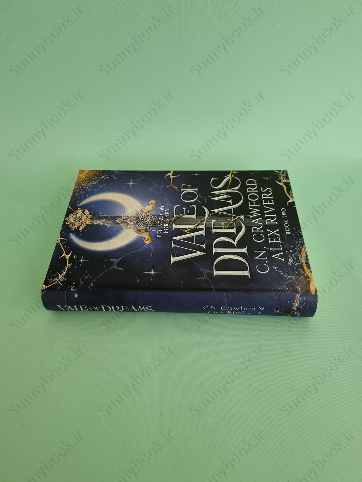 Vale of Dreams (Fey Spy Academy Book 2) main 1 4