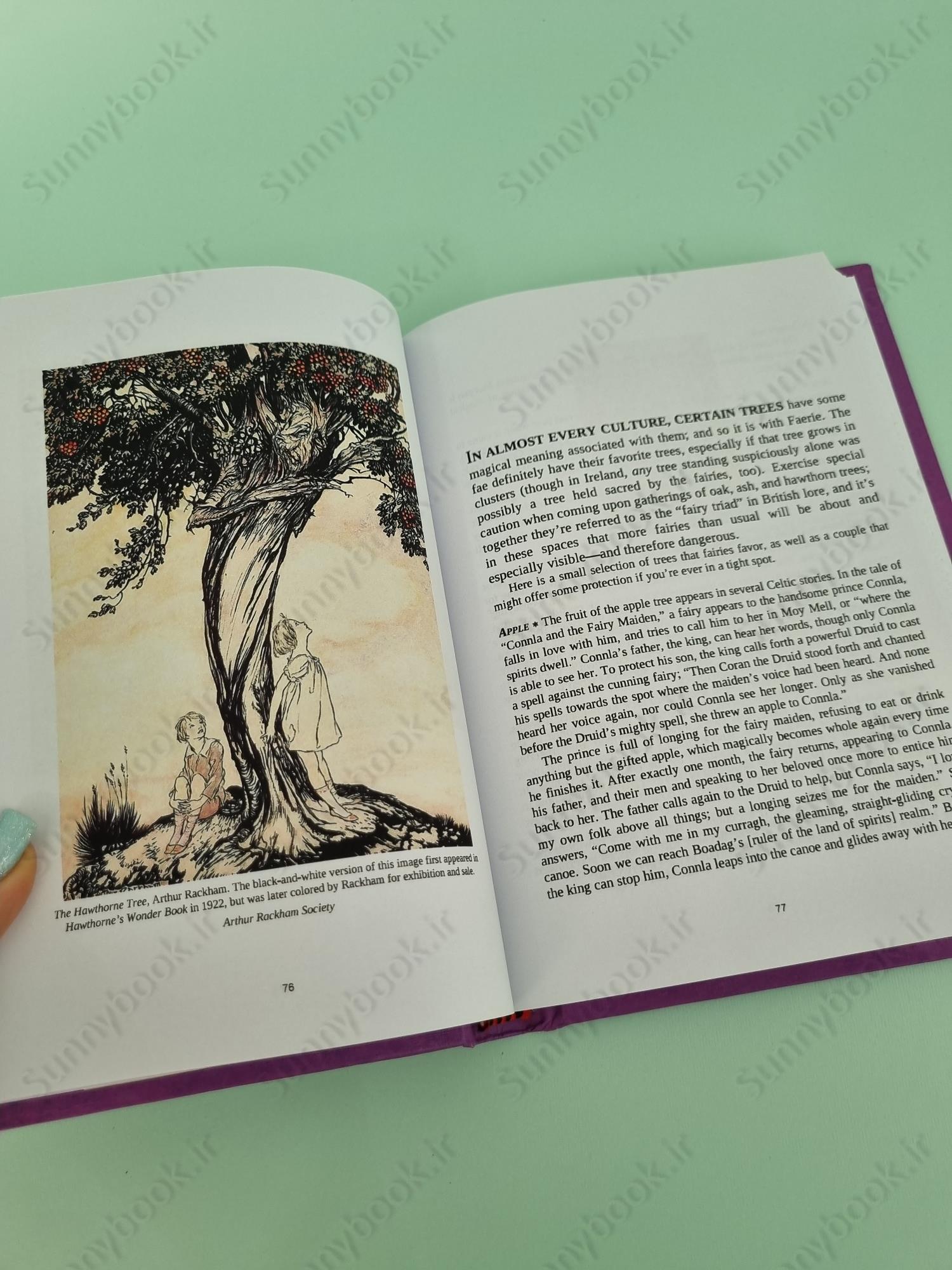 The Faerie Handbook: An Enchanting Compendium of Literature, Lore, Art, Recipes, and Projects main 1 5