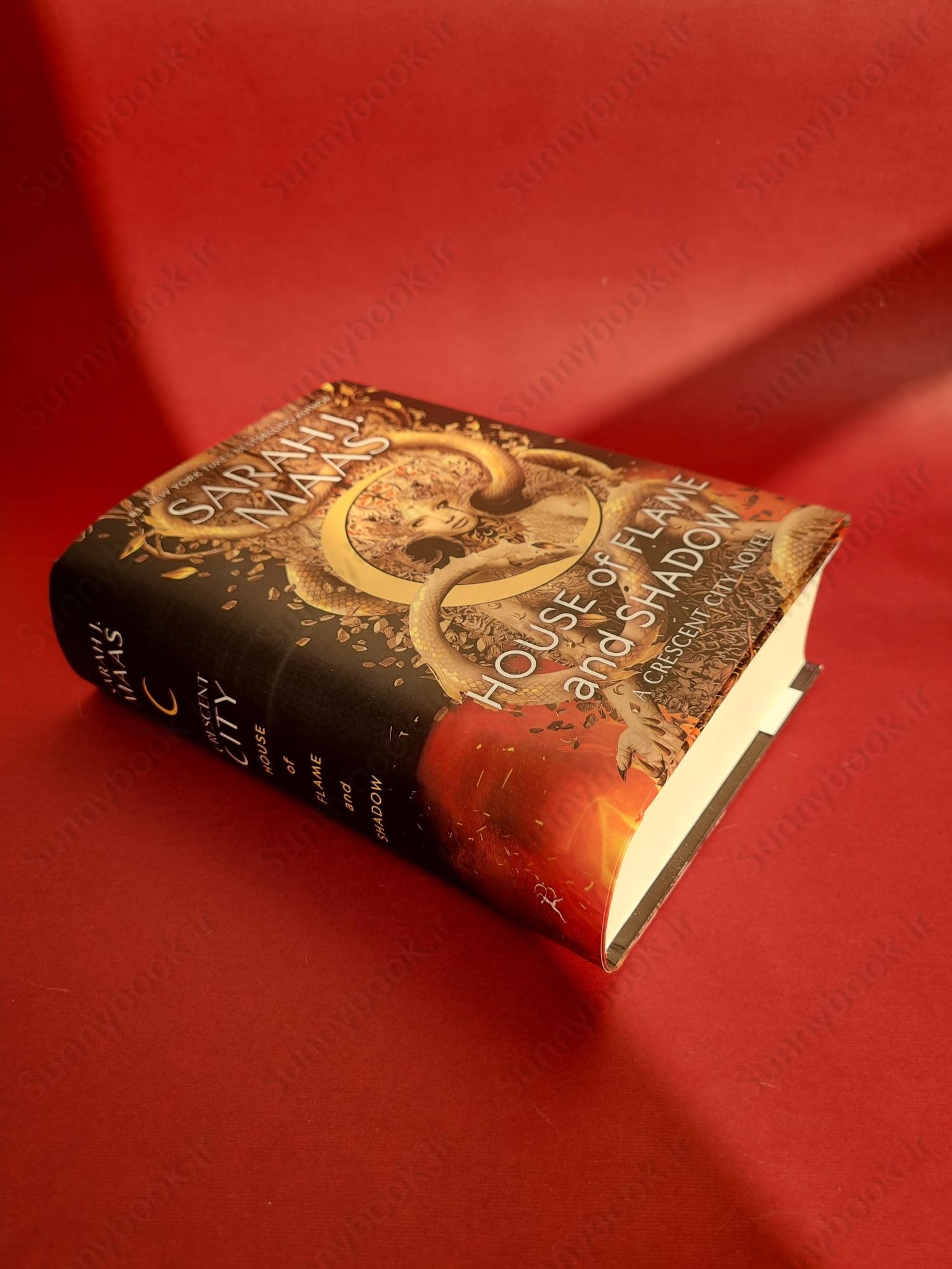 House of Flame and Shadow (Crescent City #3) main 1 5