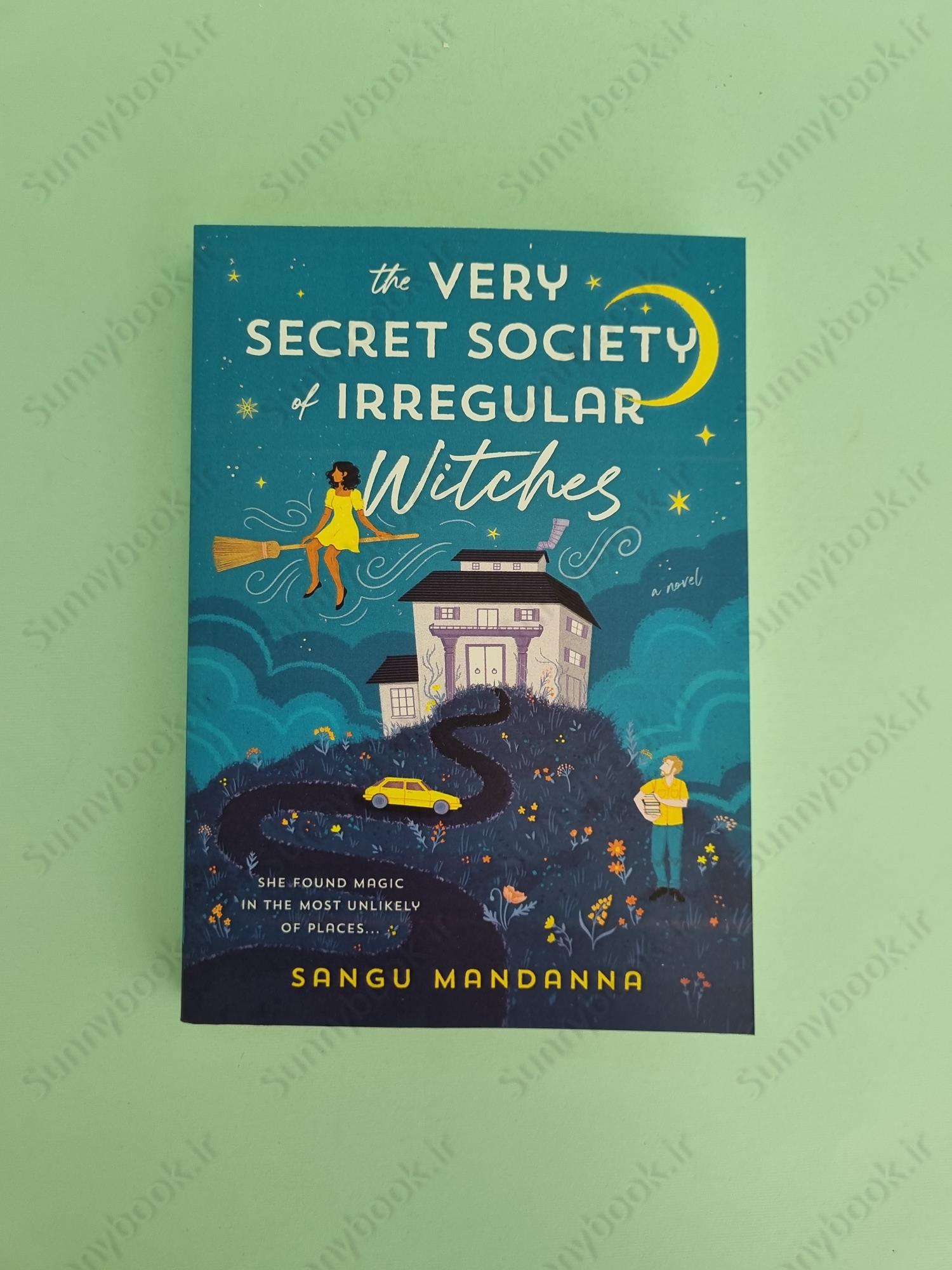 The Very Secret Society of Irregular Witches main 1 2