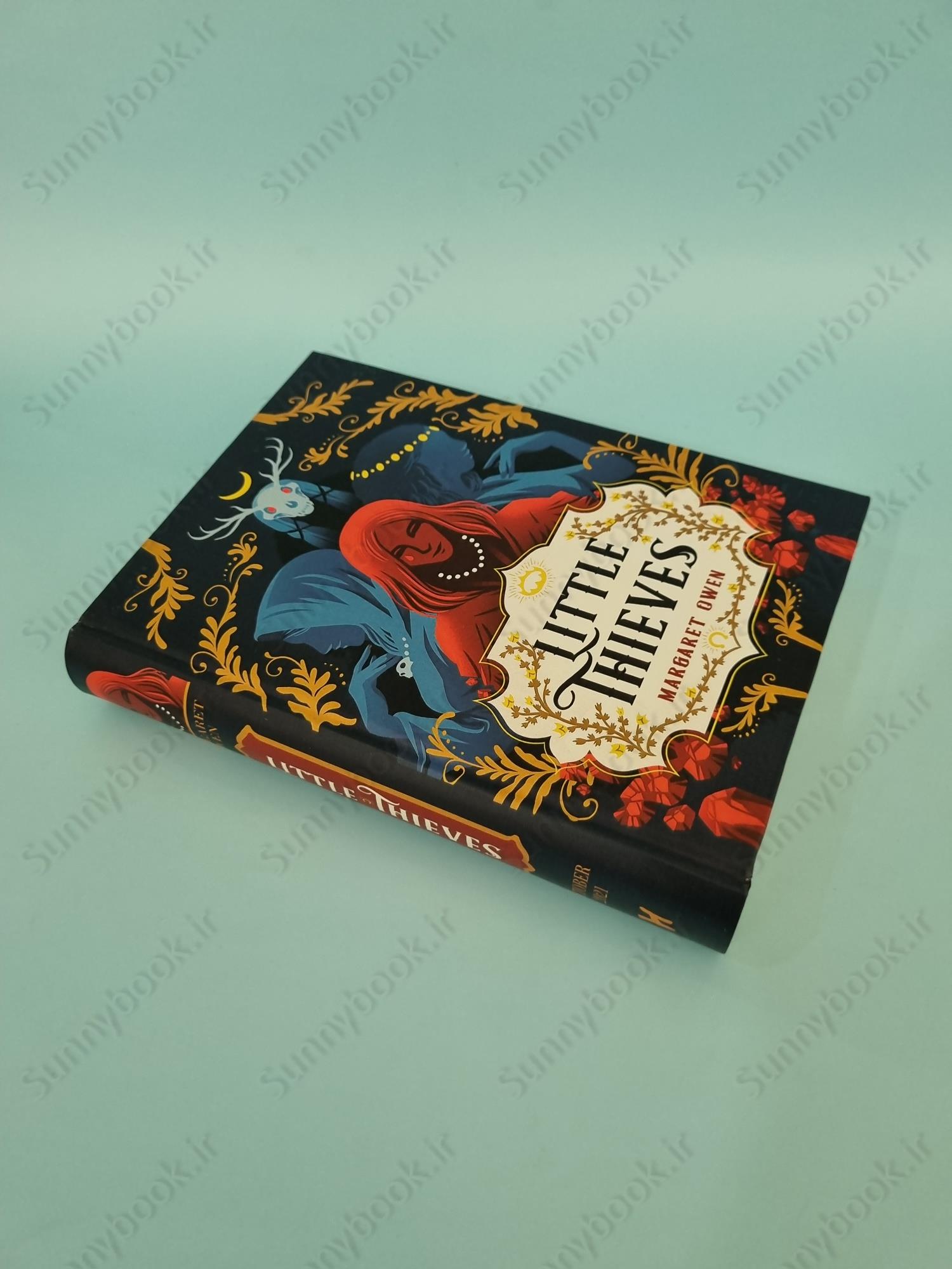 Little Thieves (Little Thieves 1) main 1 3