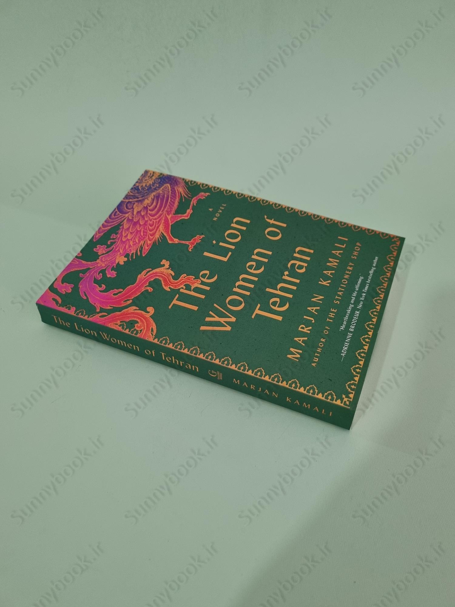 The Lion Women of Tehran main 1 3