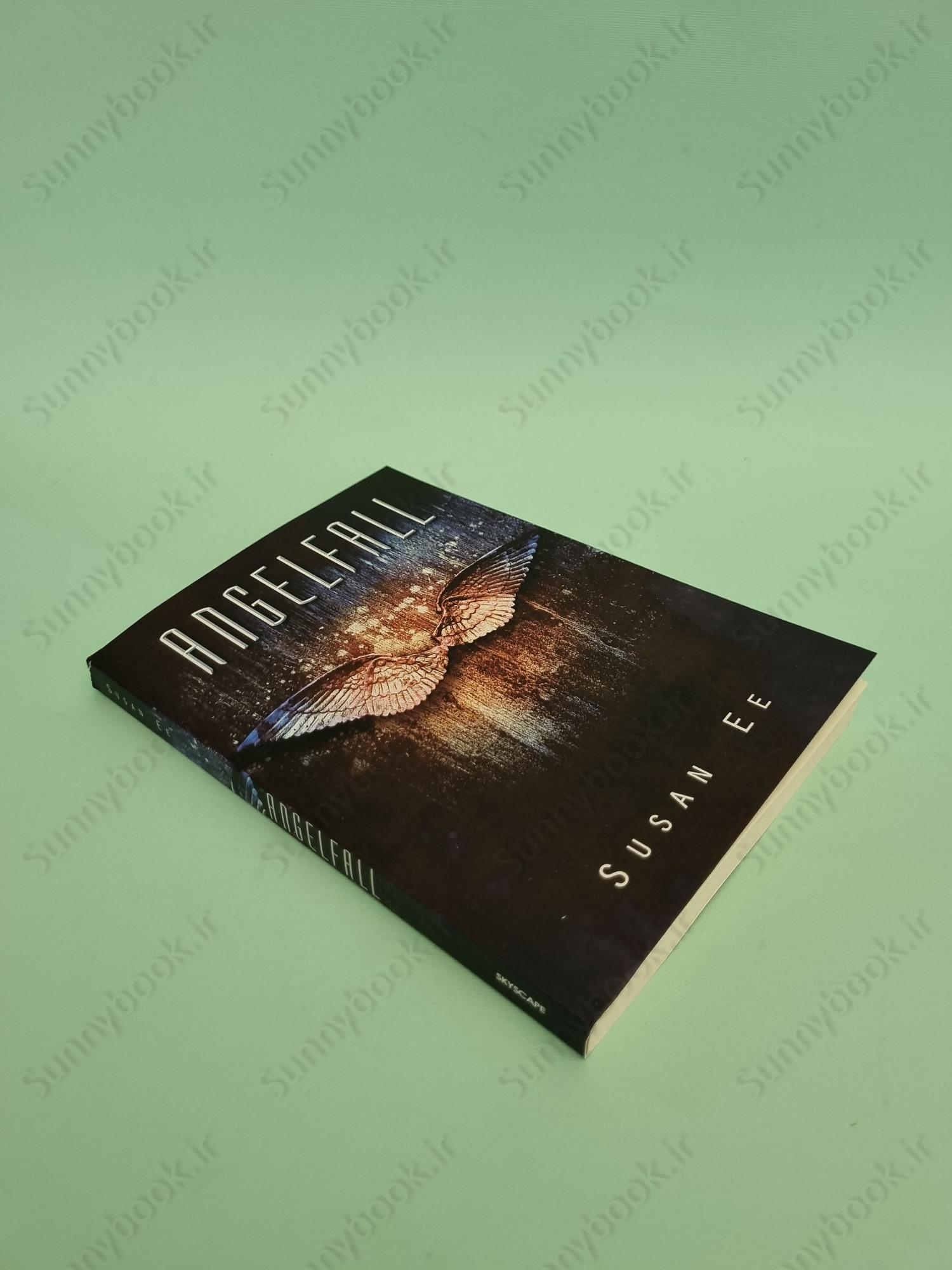 Angelfall (Penryn & the End of Days 1) main 1 3