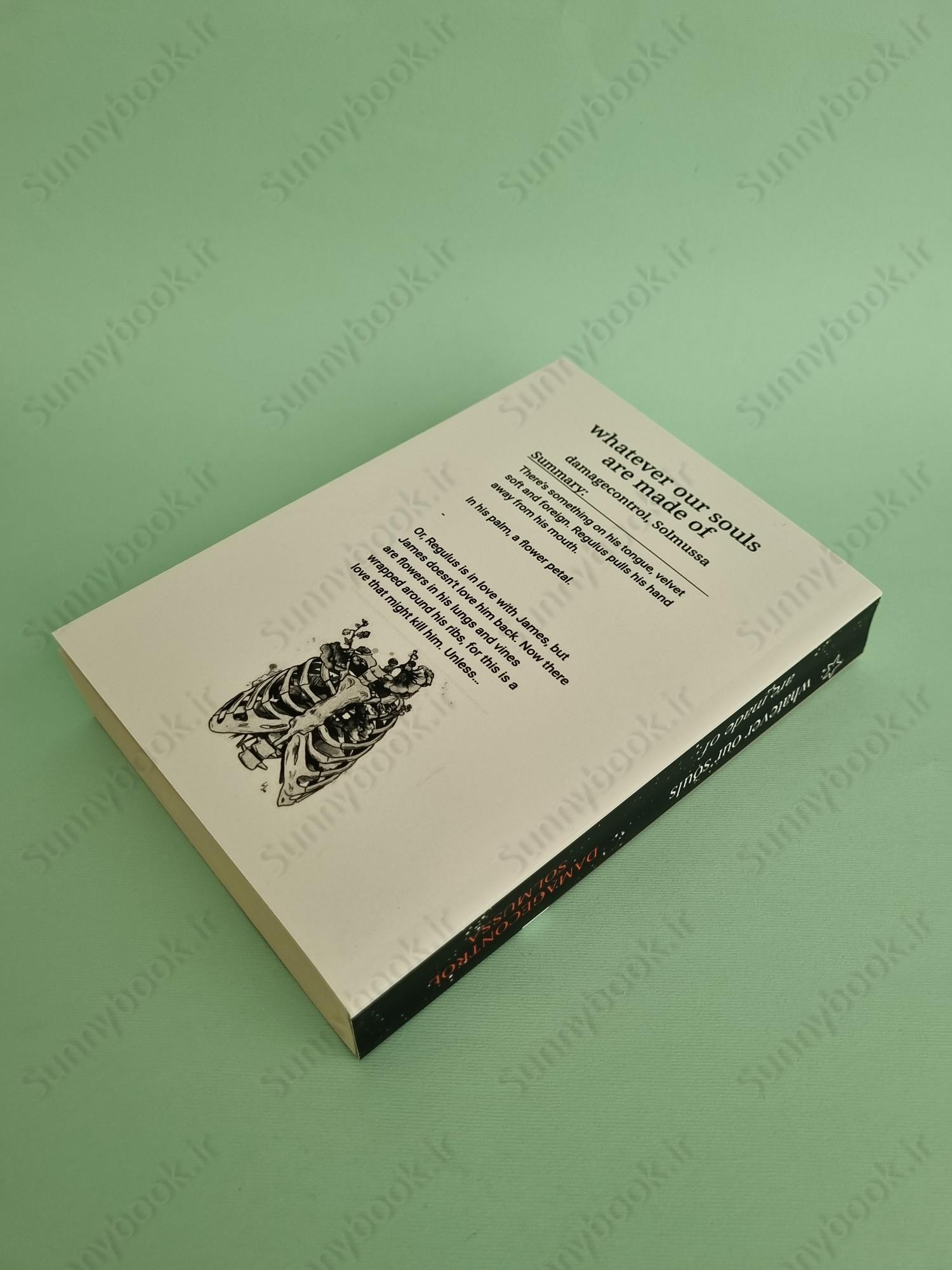 whatever our souls are made of main 1 4