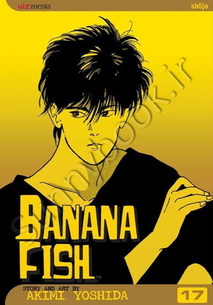 Banana Fish, Vol. 17 Model.Title