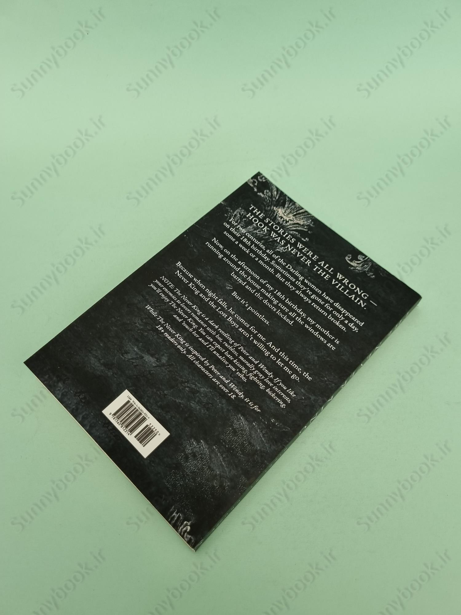 The Never King (Vicious Lost Boys Book 1) main 1 4