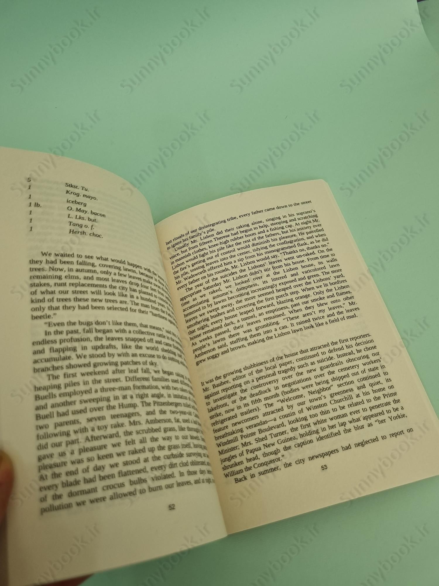 The Virgin Suicides main 1 6