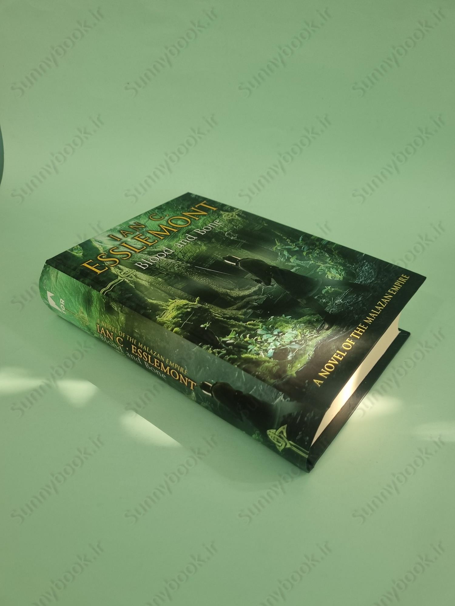 Blood and Bone (The Malazan Empire 5) main 1 3