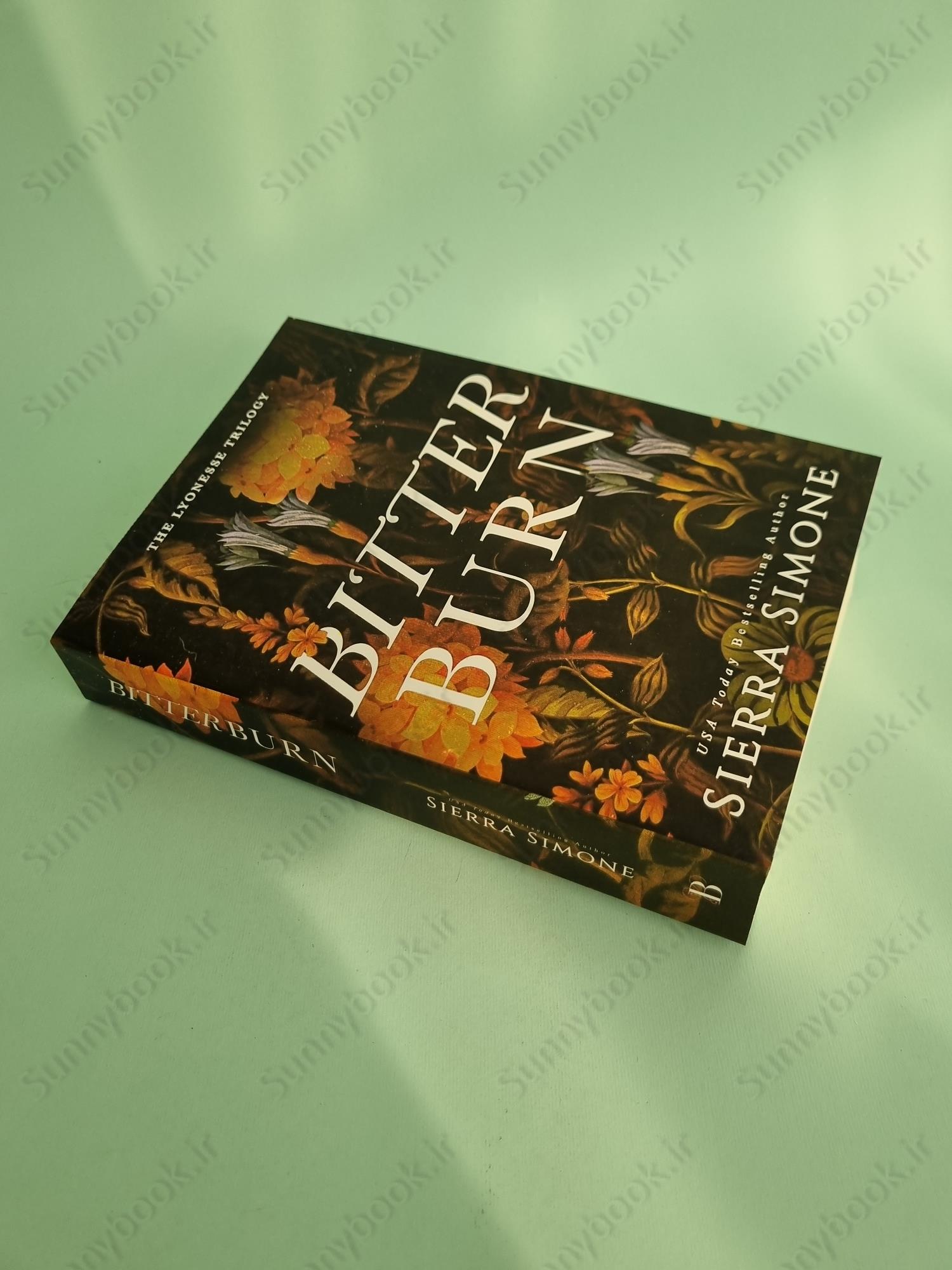 Bitter Burn (Lyonesse 3) main 1 3