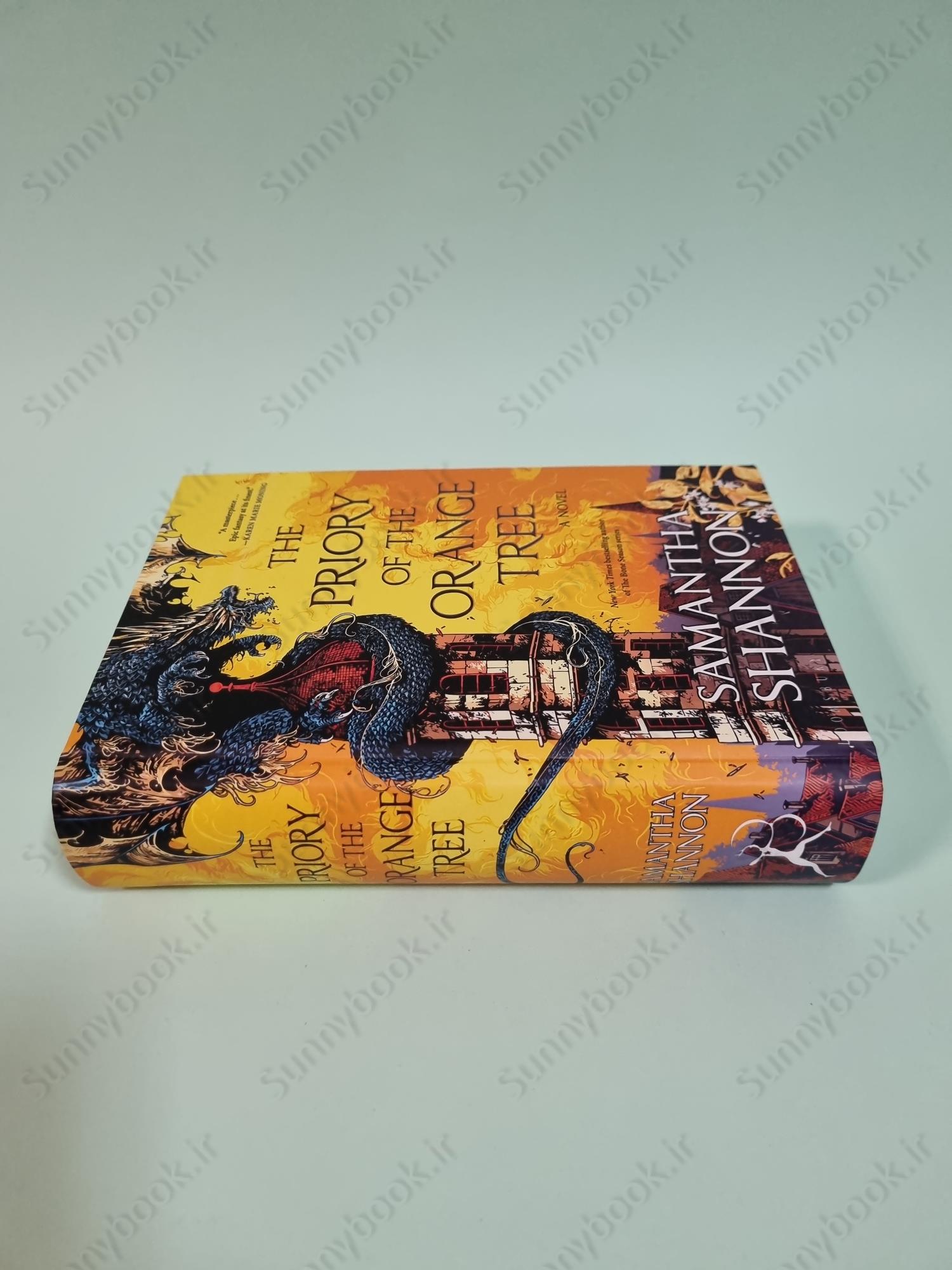 The Priory of the Orange Tree (The Roots of Chaos 1) main 1 4
