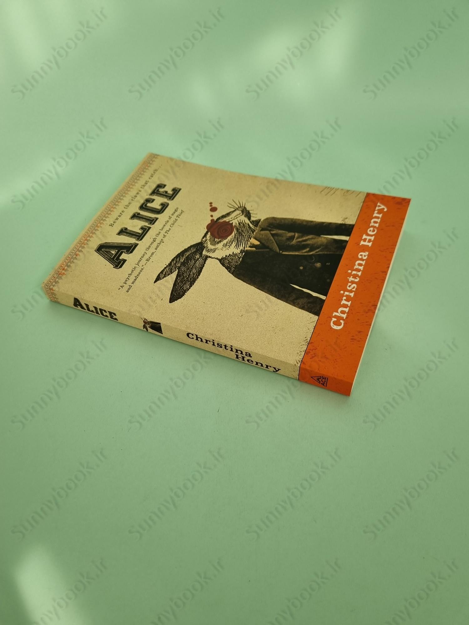 Alice (The Chronicles of Alice 1) main 1 3