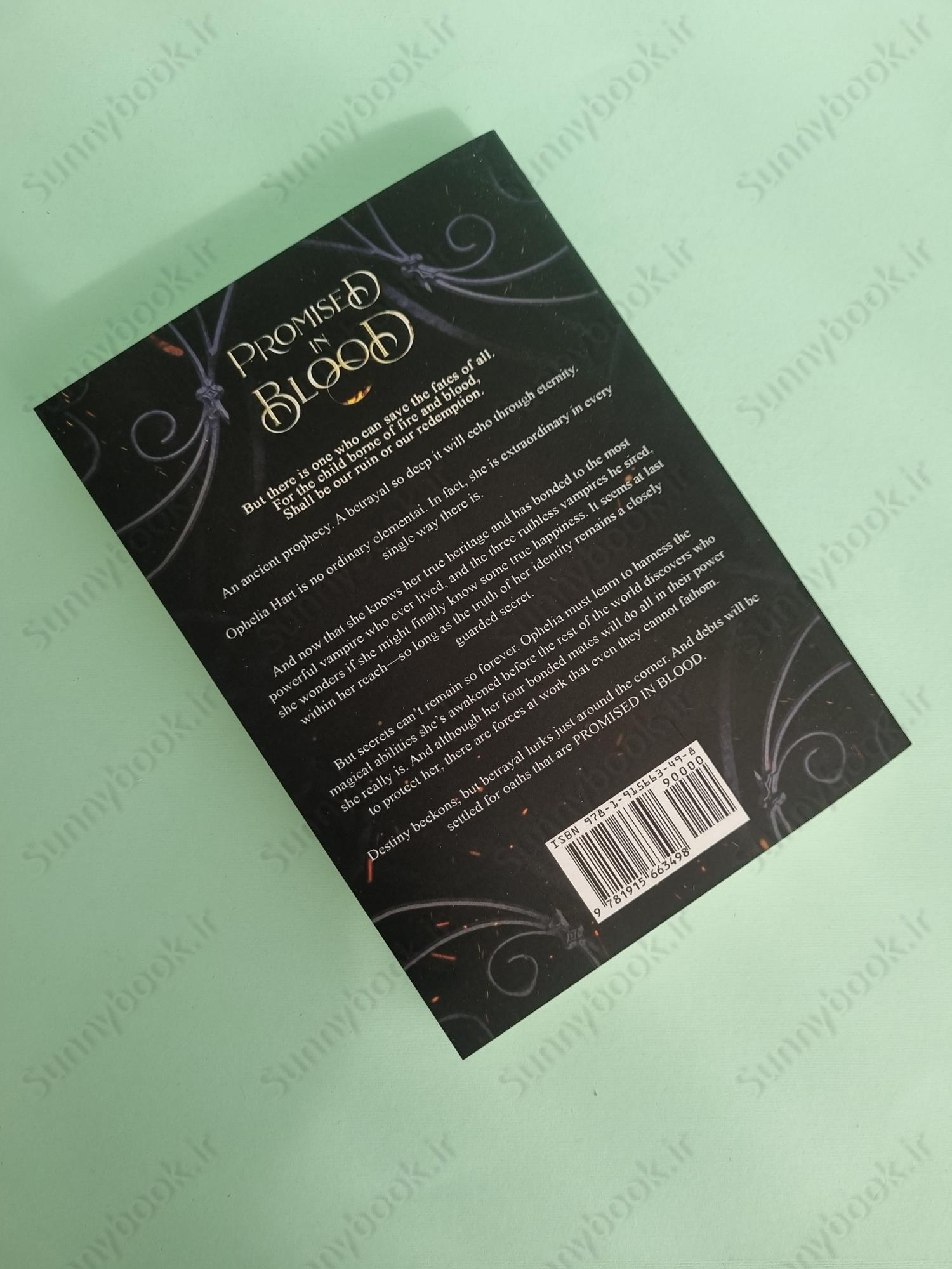 Promised in Blood (Broken Bloodlines Book 2) main 1 4