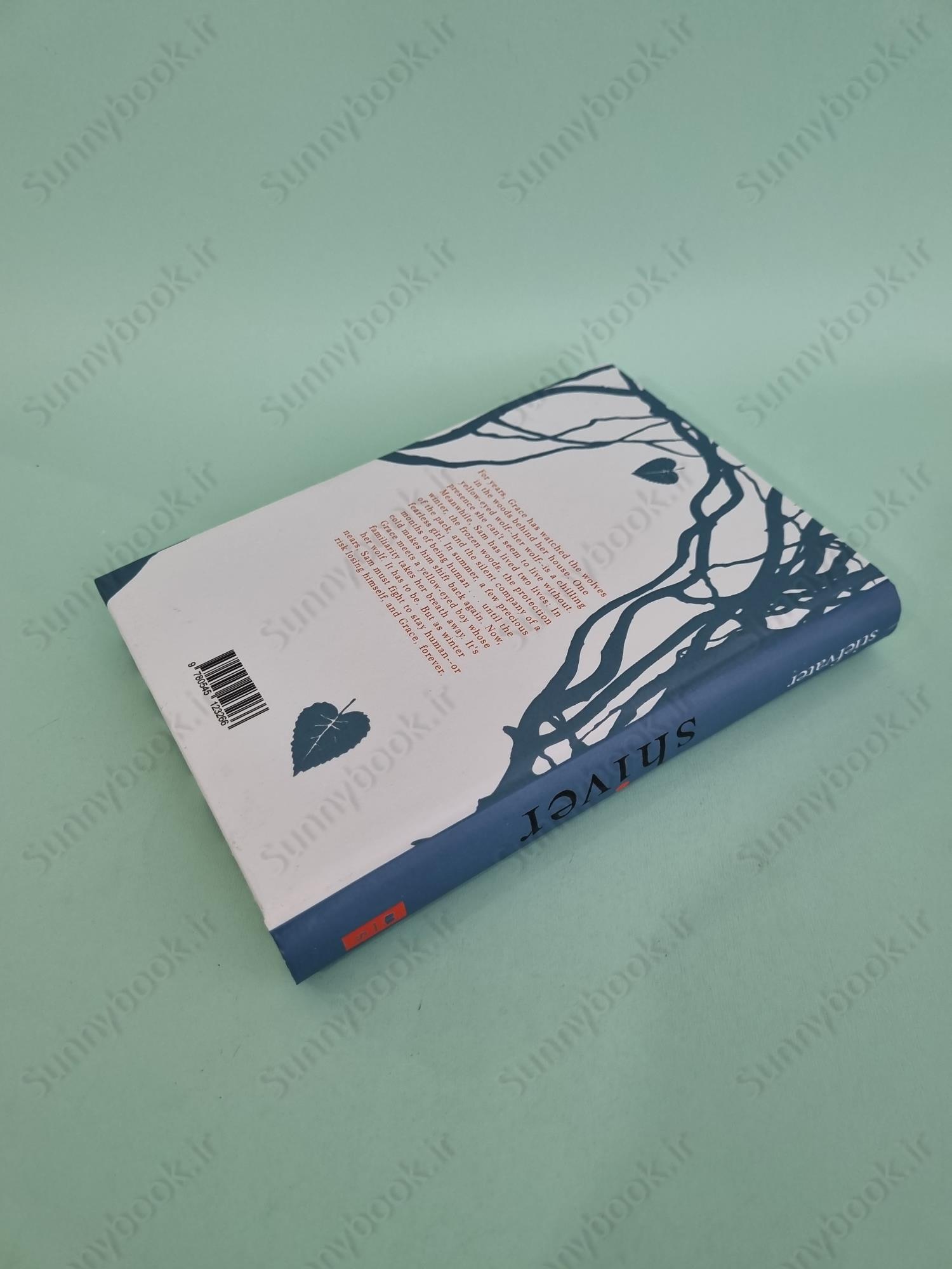 Shiver (The Wolves of Mercy Falls 1) main 1 5