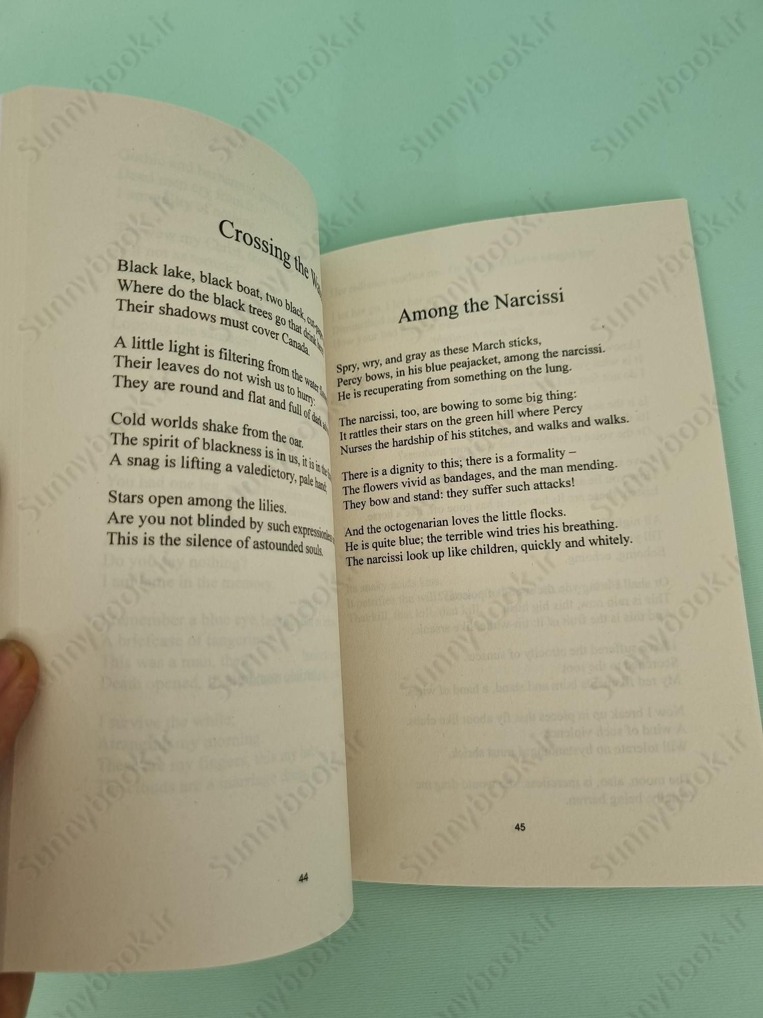 Sylvia Plath - Selected Poems main 1 6